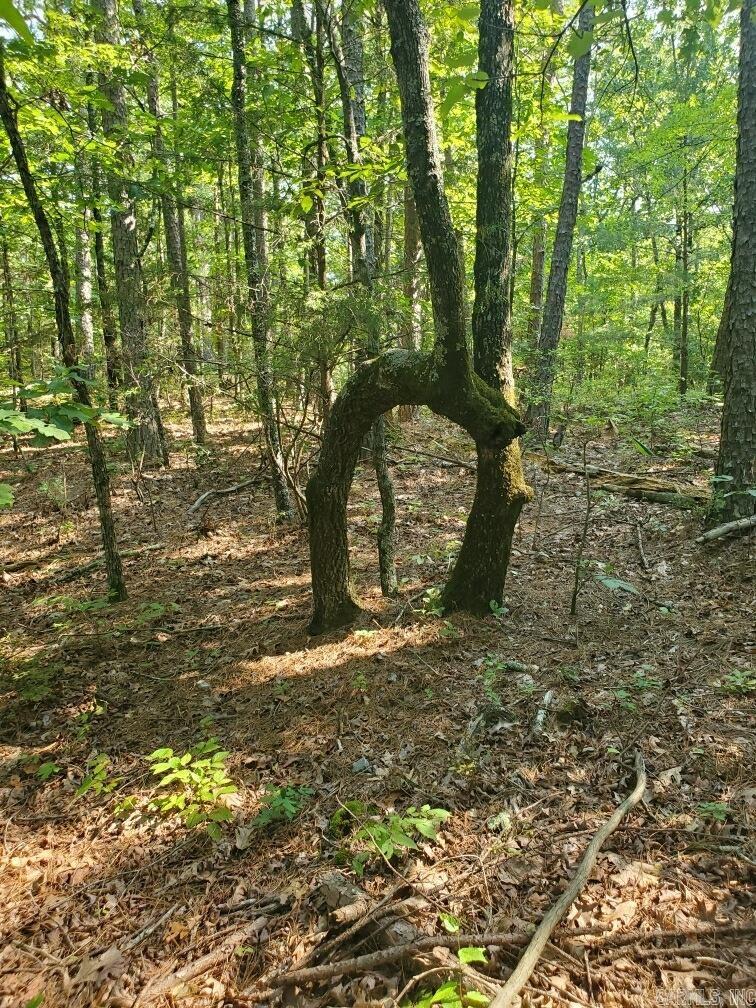 TBD Polk Road 62  Mena, AR