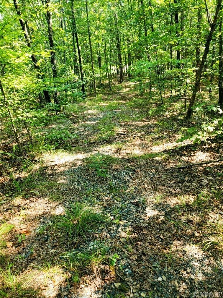 TBD Polk Road 62  Mena, AR