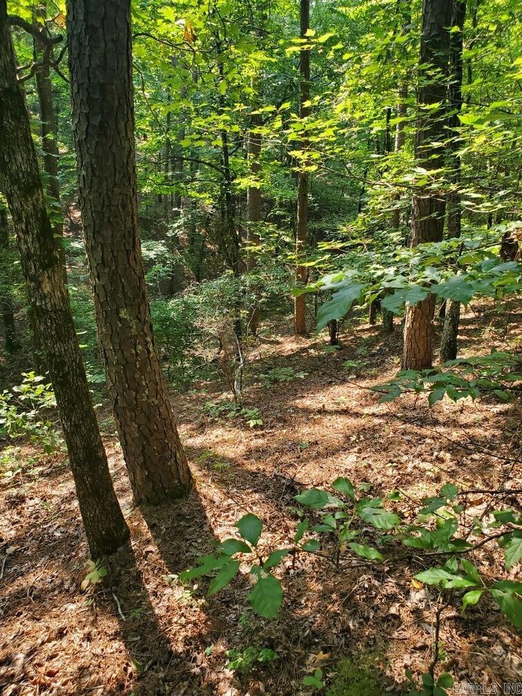 TBD Polk Road 62  Mena, AR