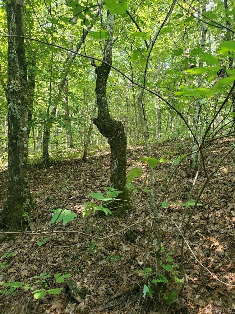 TBD Polk Road 62  Mena, AR