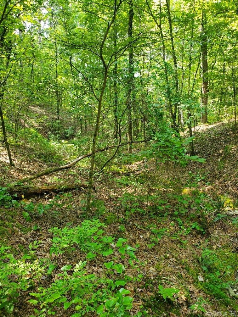 TBD Polk Road 62  Mena, AR