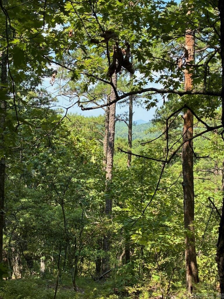 TBD Polk Road 62  Mena, AR