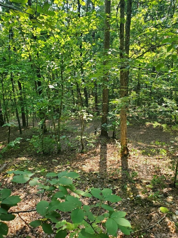 TBD Polk Road 62  Mena, AR