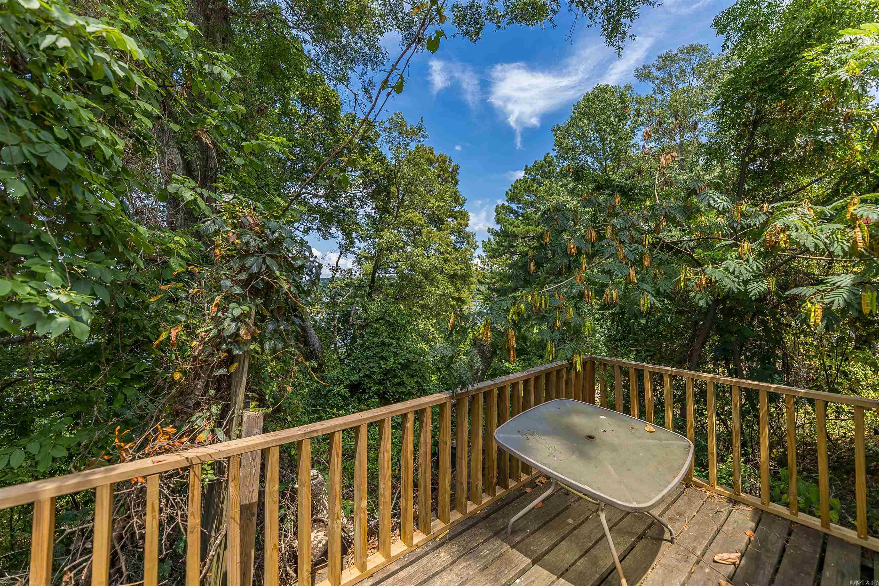 396 Highway 387  Chidester, AR