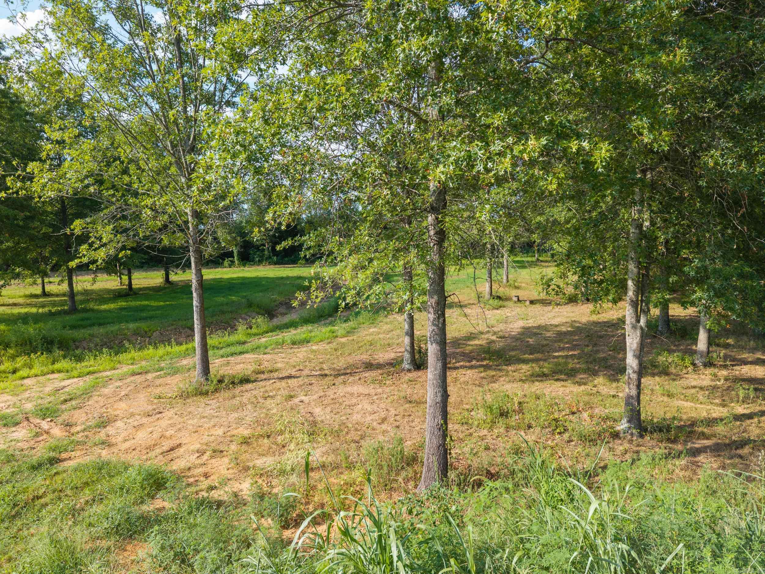 28R River Birch Drive  Guy, AR