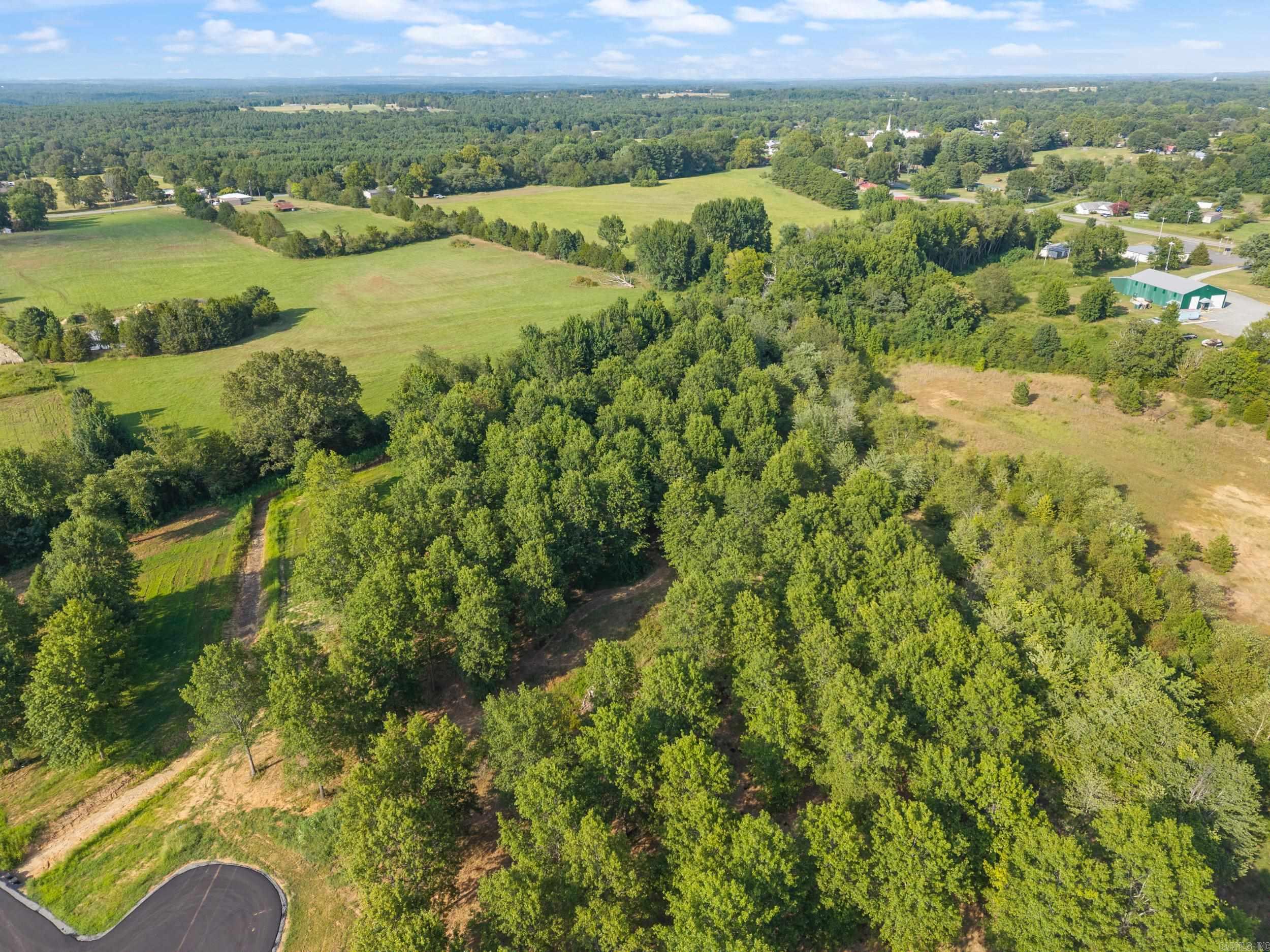 28R River Birch Drive  Guy, AR