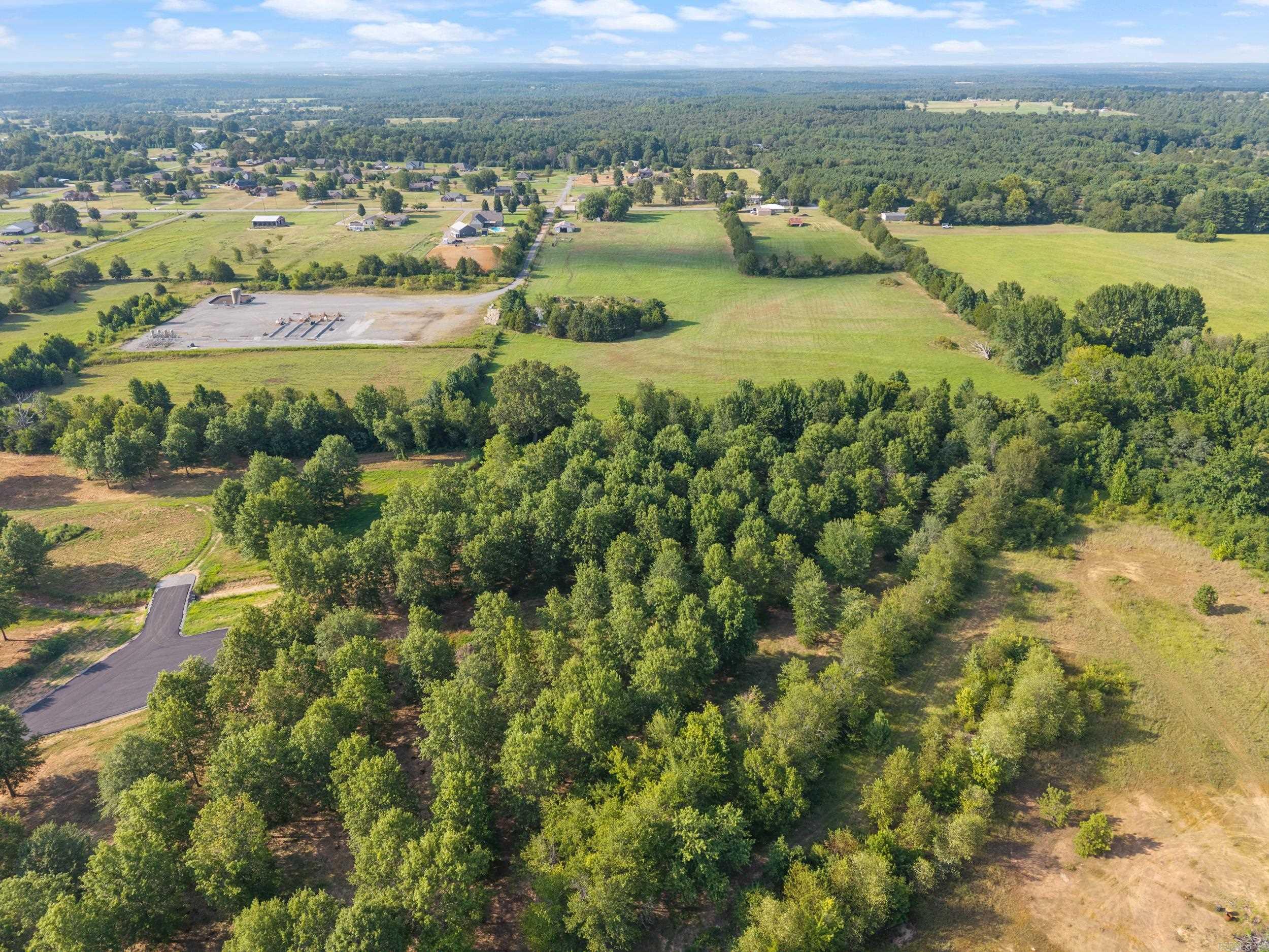 29R River Birch Drive  Guy, AR