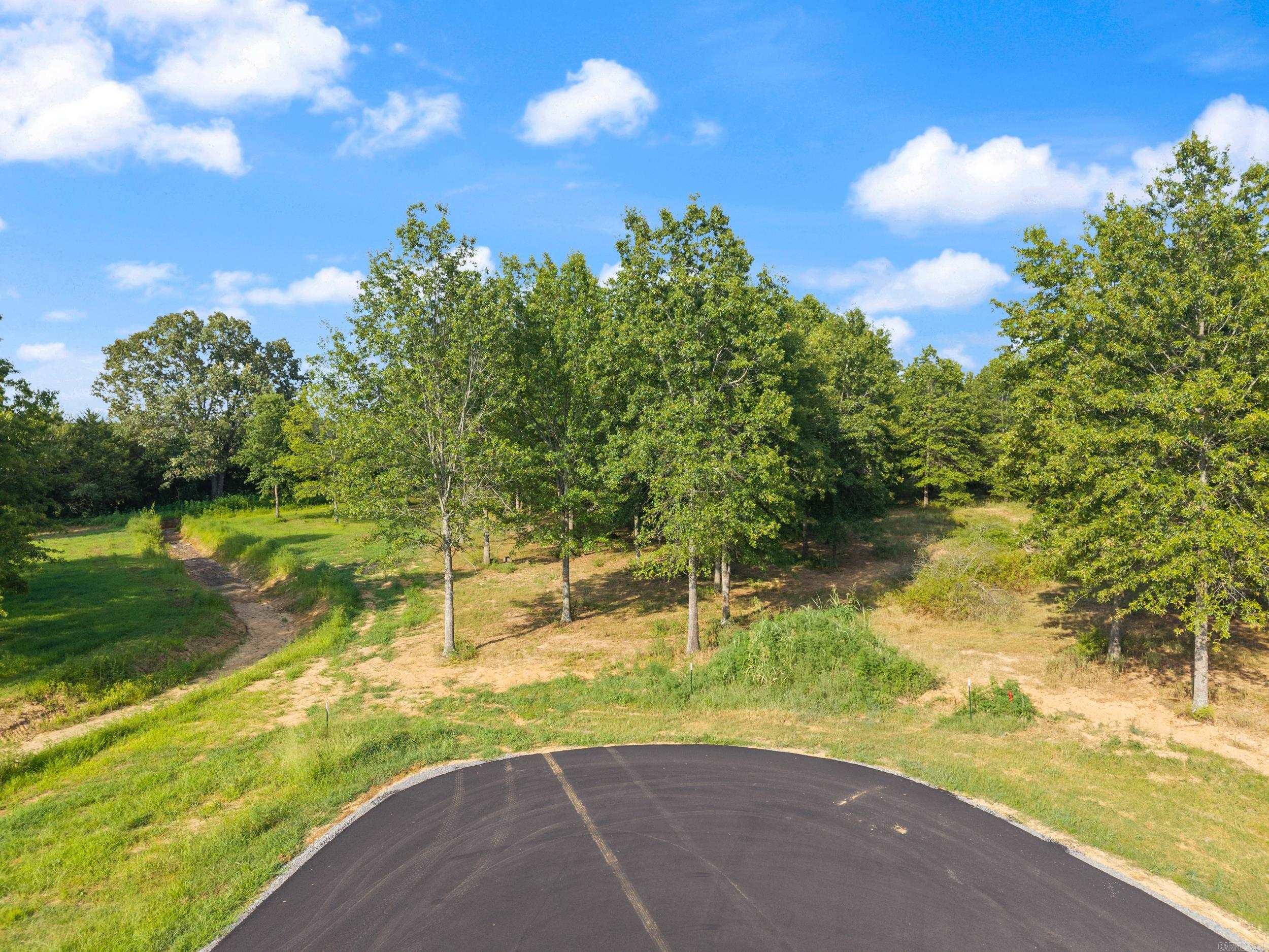 29R River Birch Drive  Guy, AR