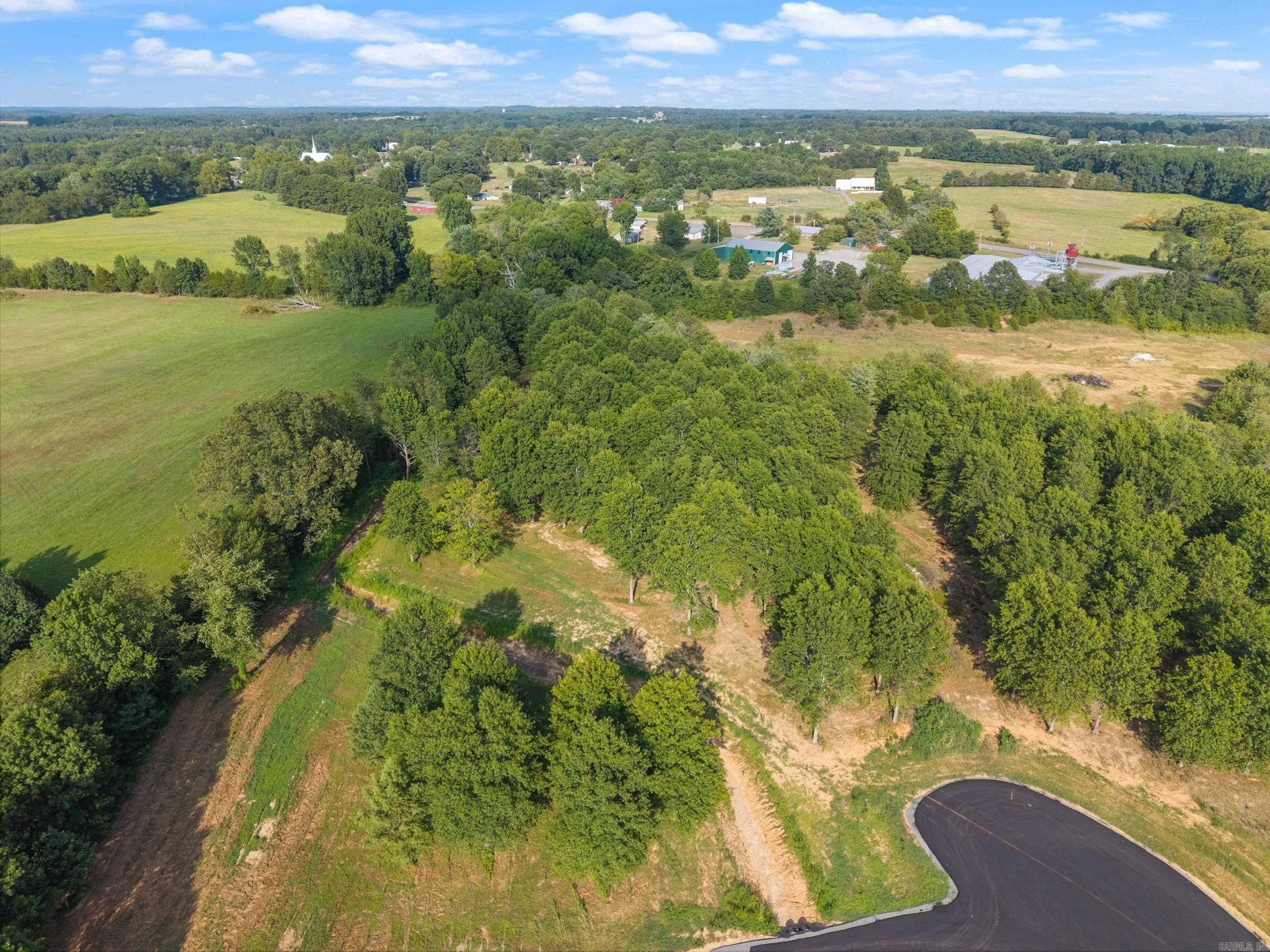 29R River Birch Drive  Guy, AR