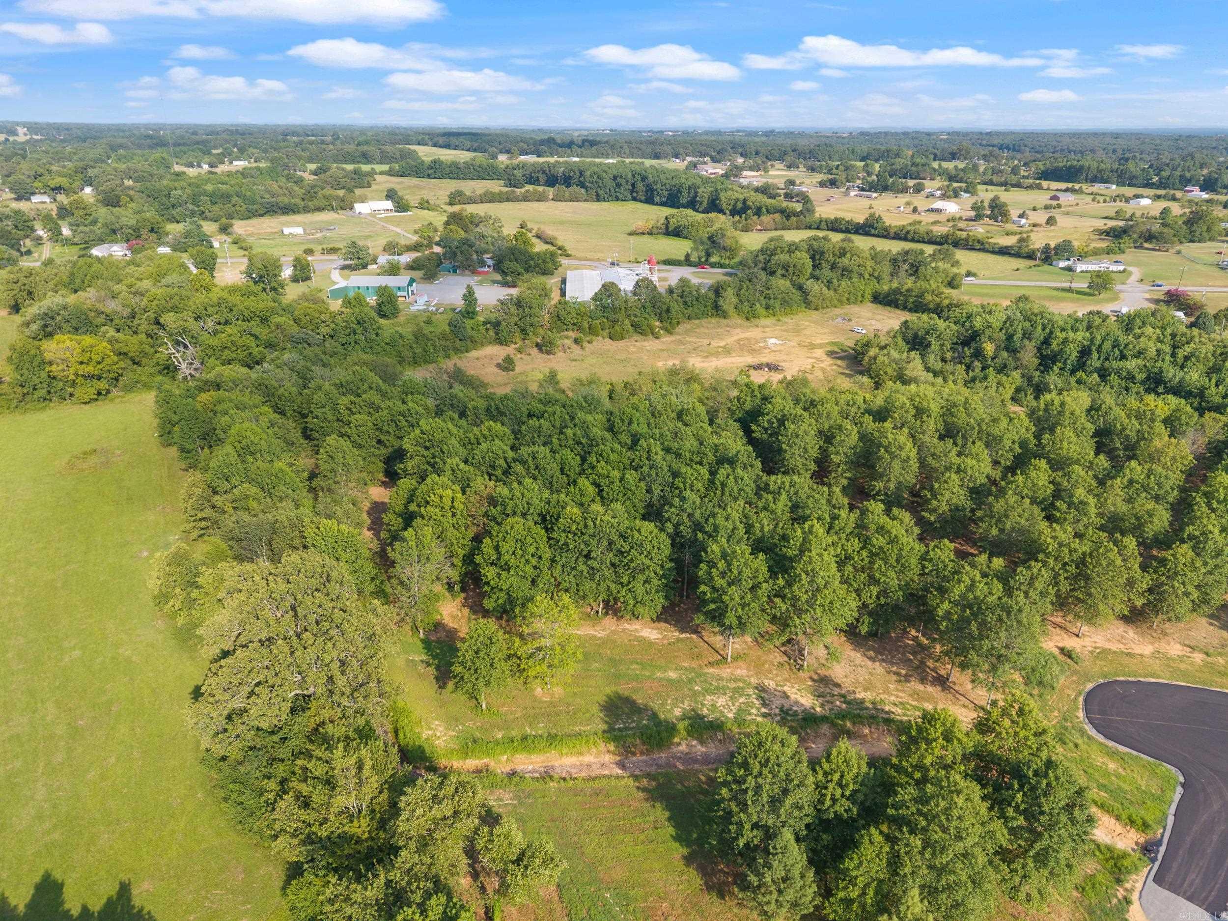 29R River Birch Drive  Guy, AR