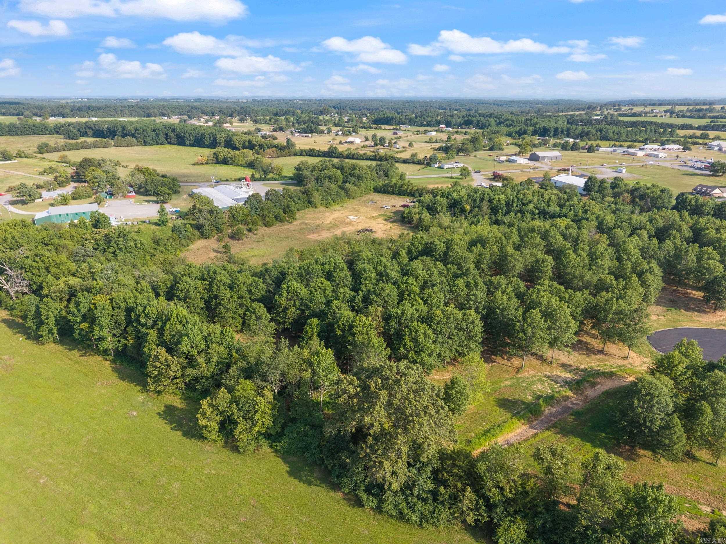 29R River Birch Drive  Guy, AR