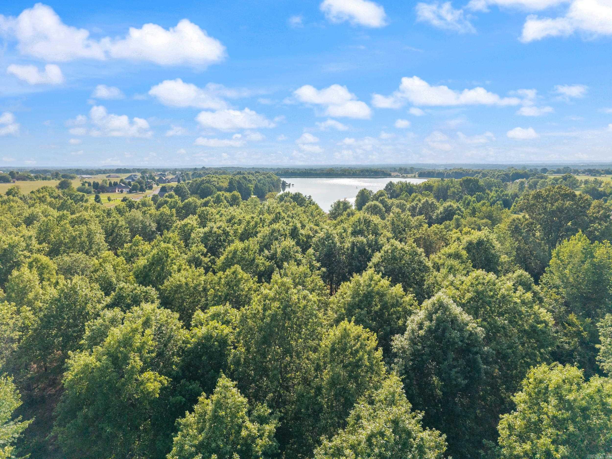 29R River Birch Drive  Guy, AR