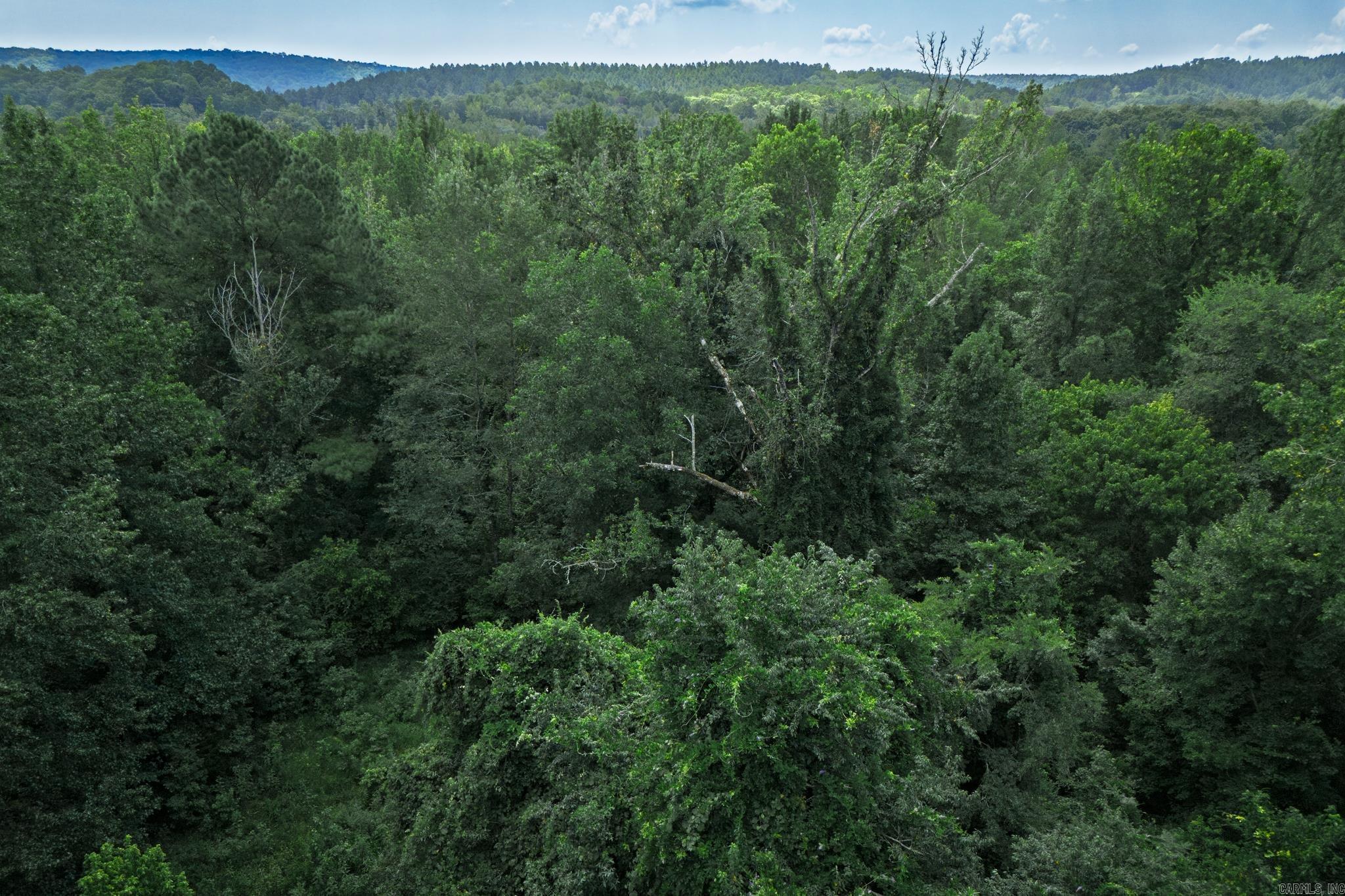 00B W Glazypeau  Mountain Pine, AR
