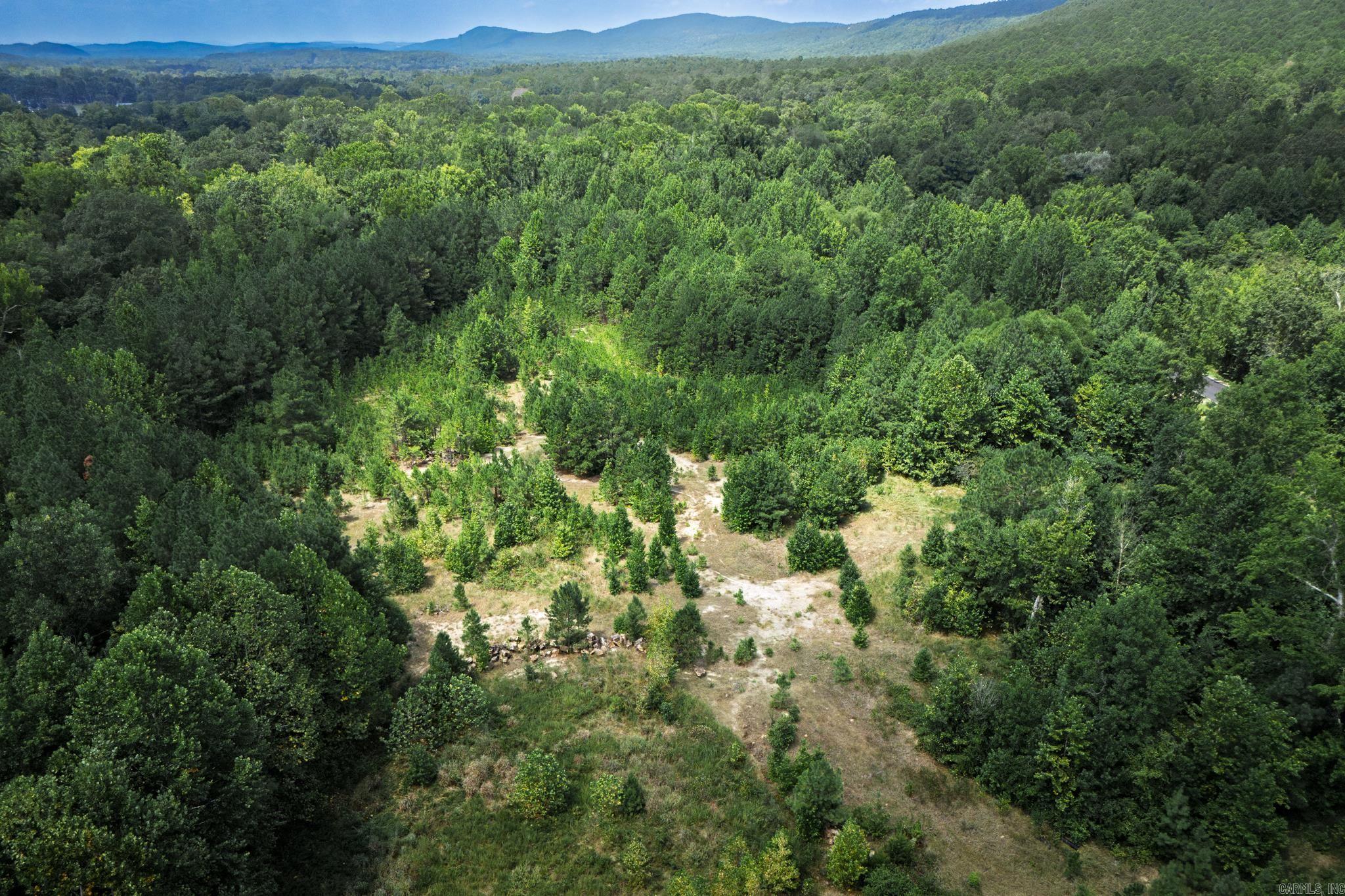 00B W Glazypeau  Mountain Pine, AR