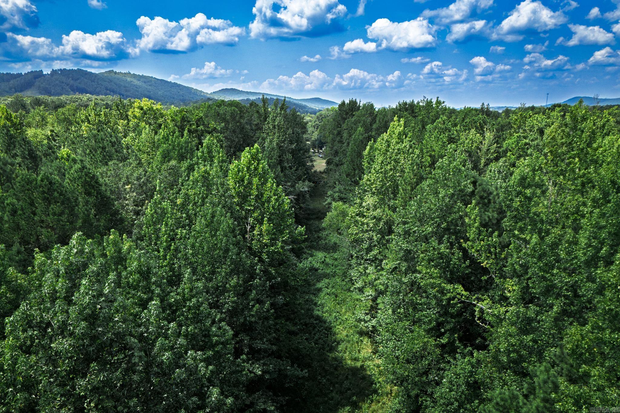00B W Glazypeau  Mountain Pine, AR