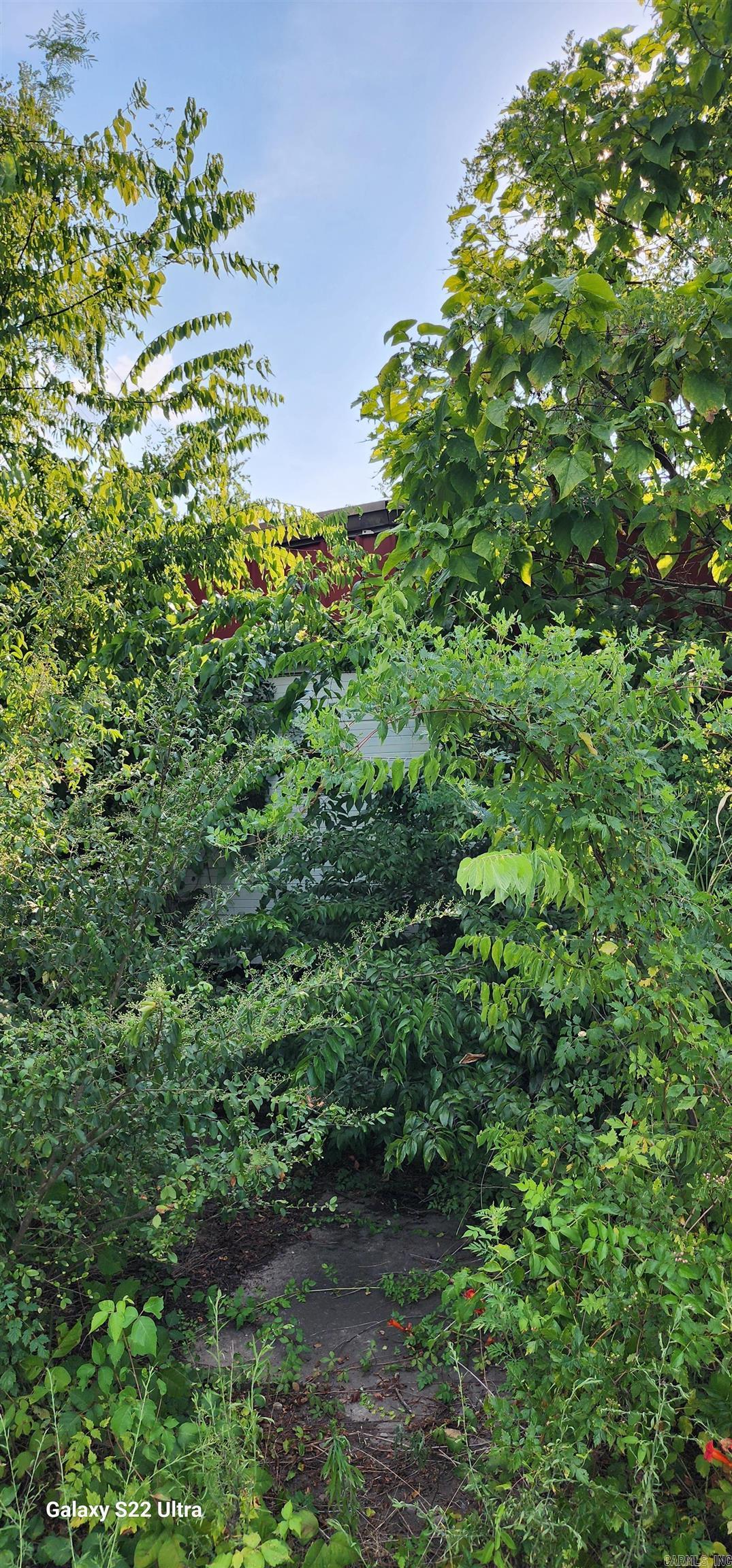 2710 E Walnut Street Paris, AR 72855