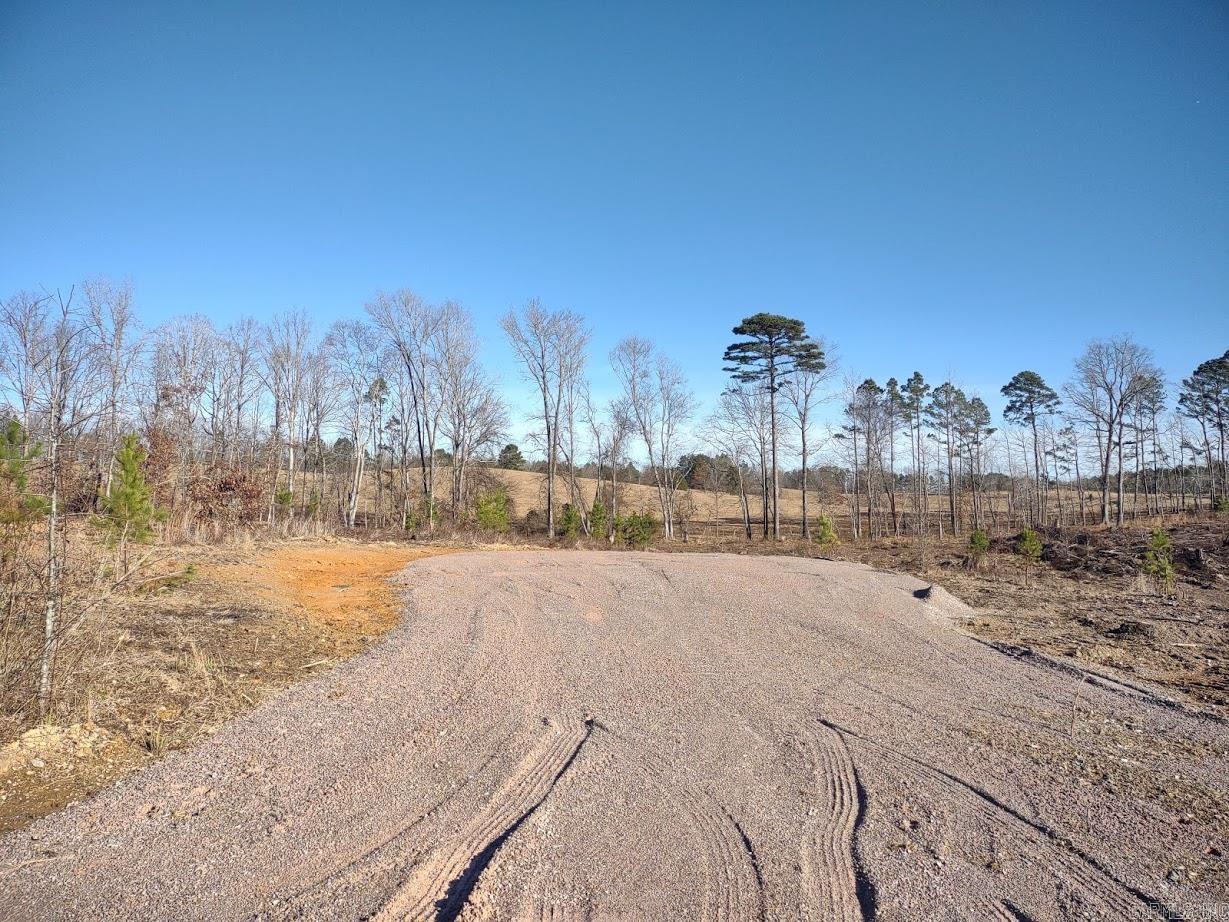 Lots 3 & 12 Snorting Buffalo Many Fish Hot Springs, AR