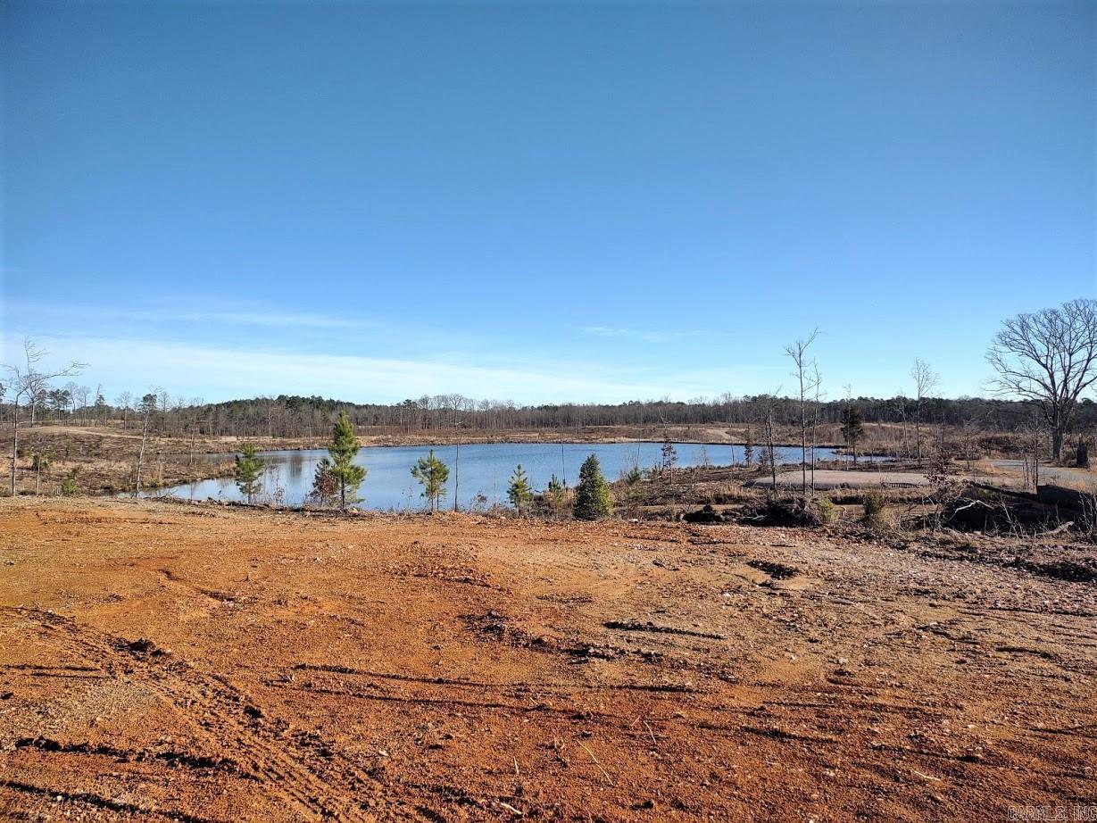 Lots 3 & 12 Snorting Buffalo Many Fish Hot Springs, AR