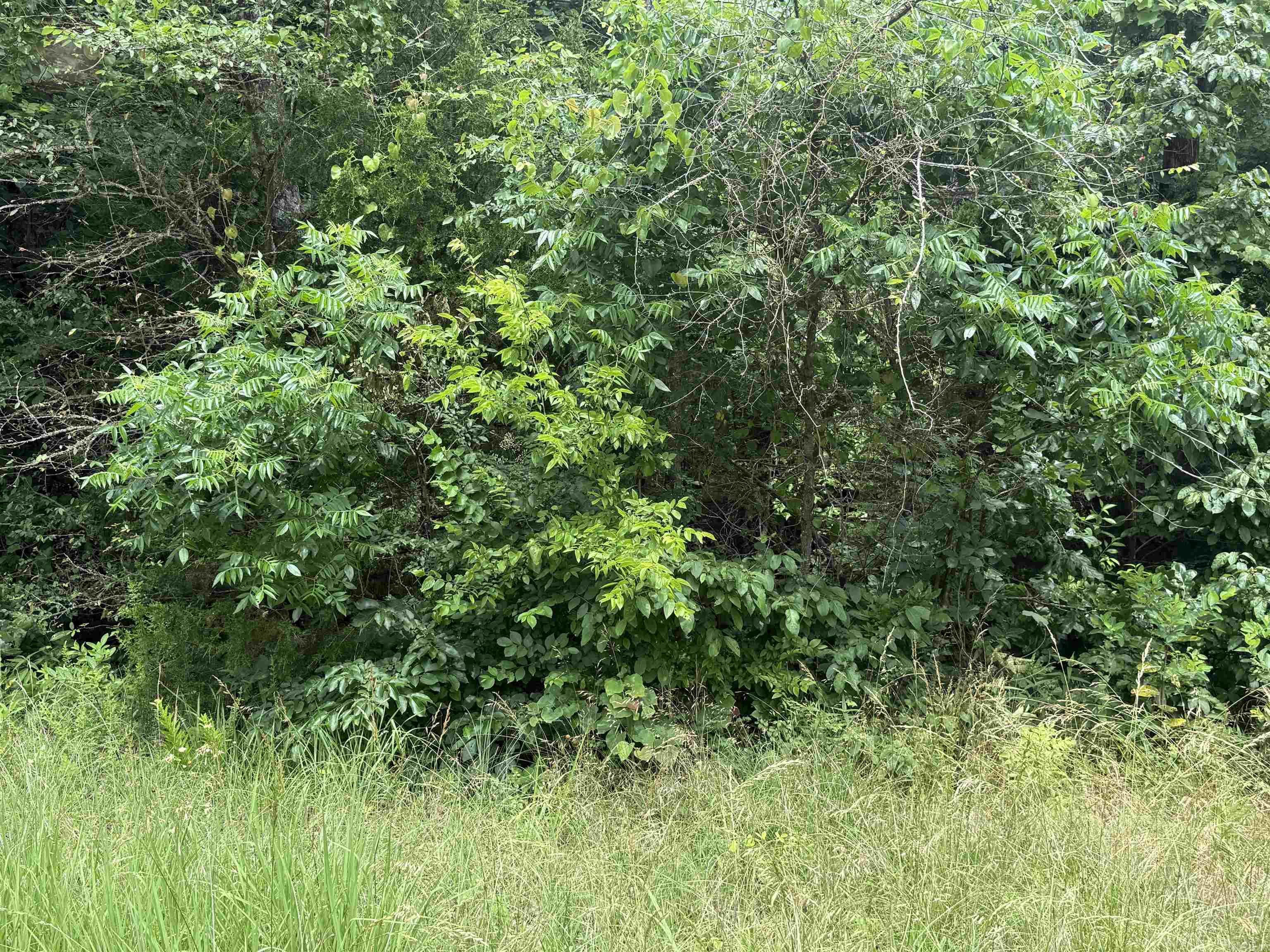 Lot 41 Seminole Second  Cherokee Village, AR