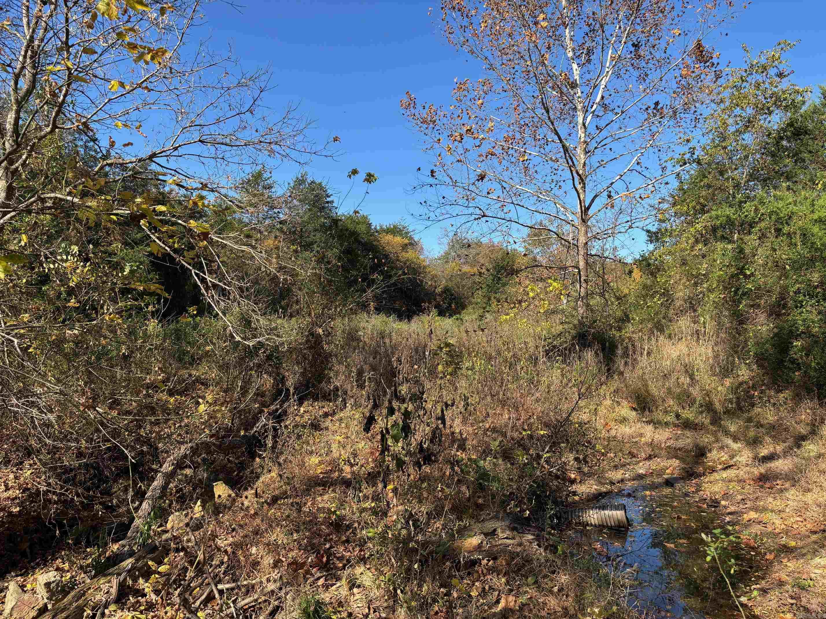  W Highway 374  Saint Joe, AR