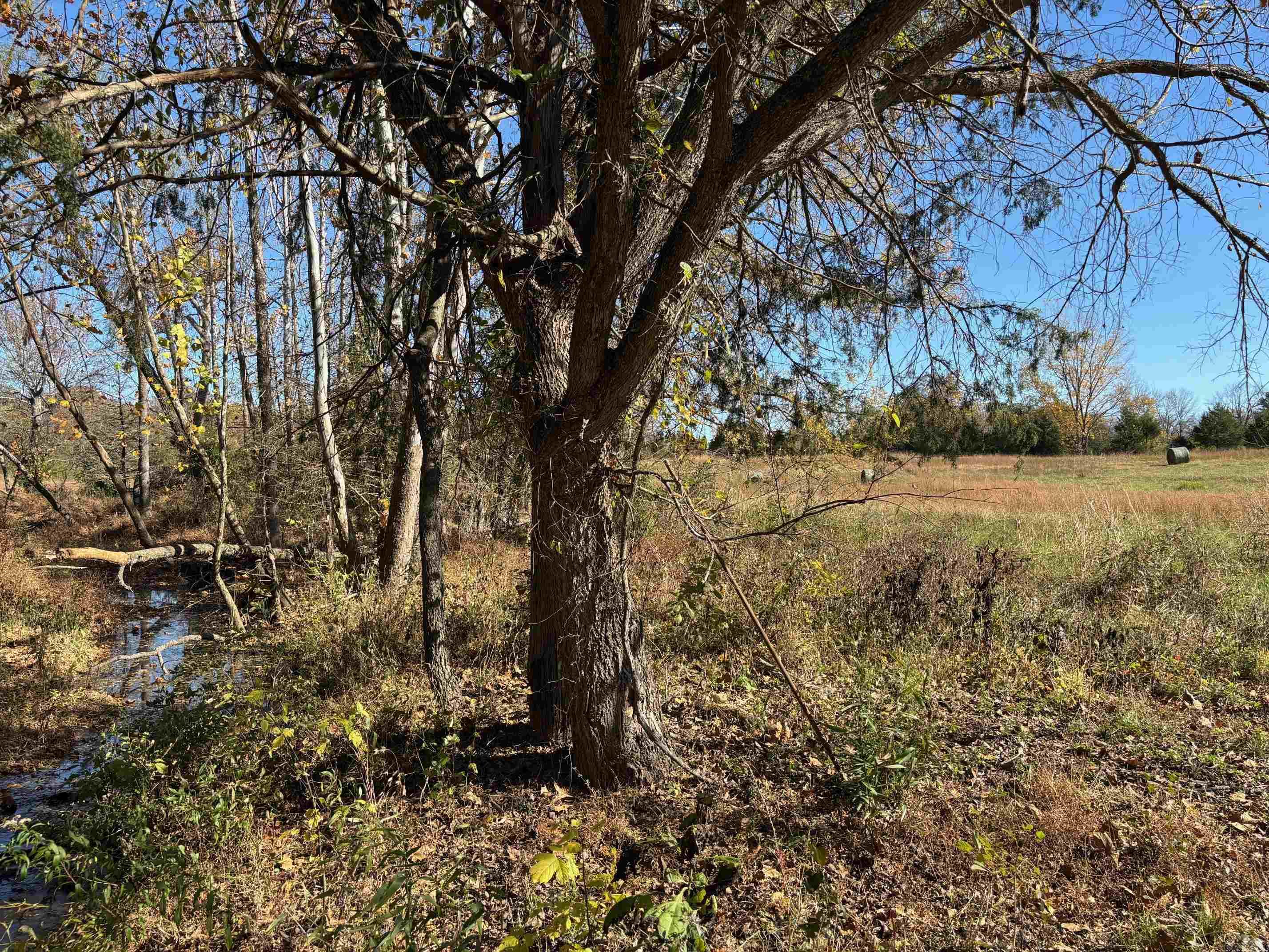  W Highway 374  Saint Joe, AR