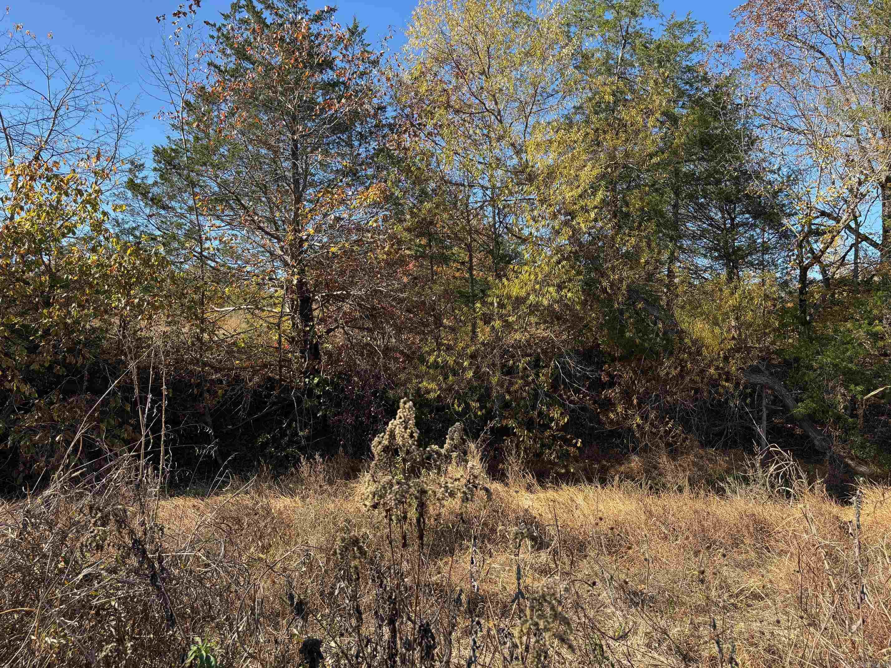  W Highway 374  Saint Joe, AR