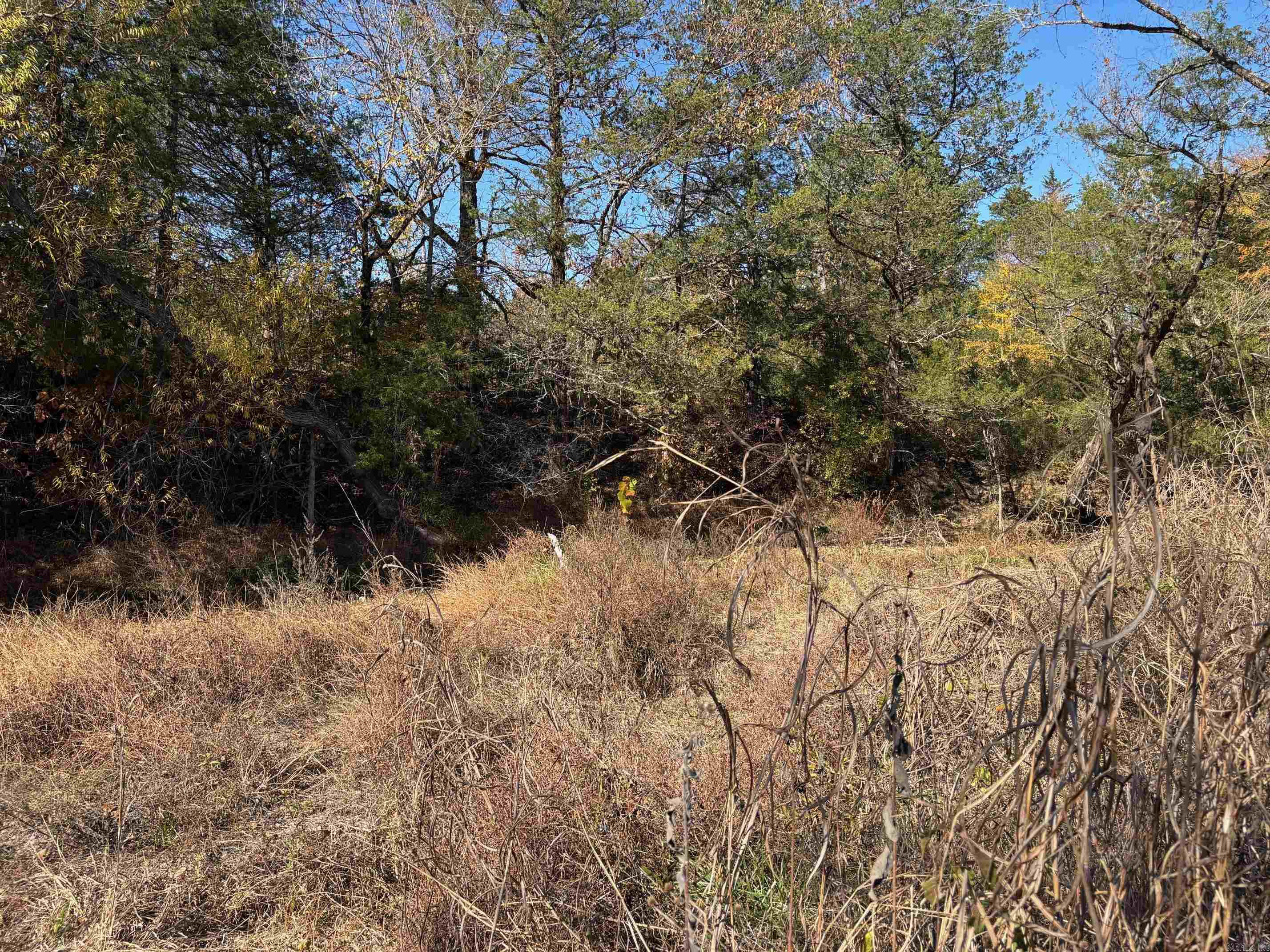  W Highway 374  Saint Joe, AR