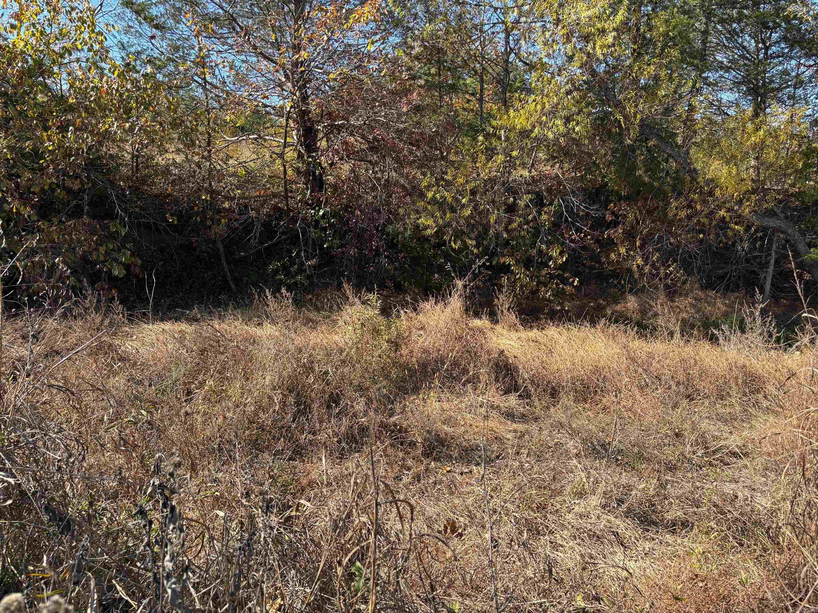  W Highway 374  Saint Joe, AR