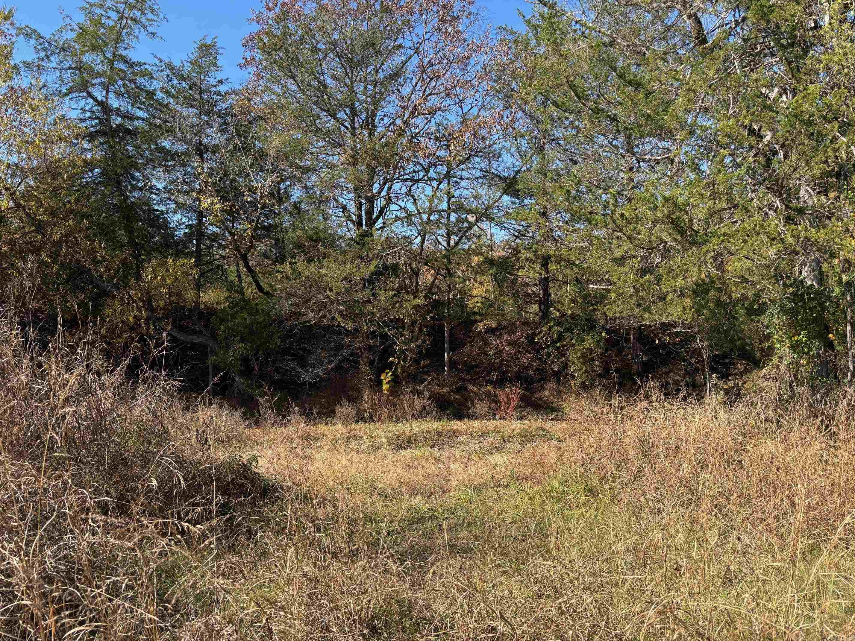  W Highway 374  Saint Joe, AR