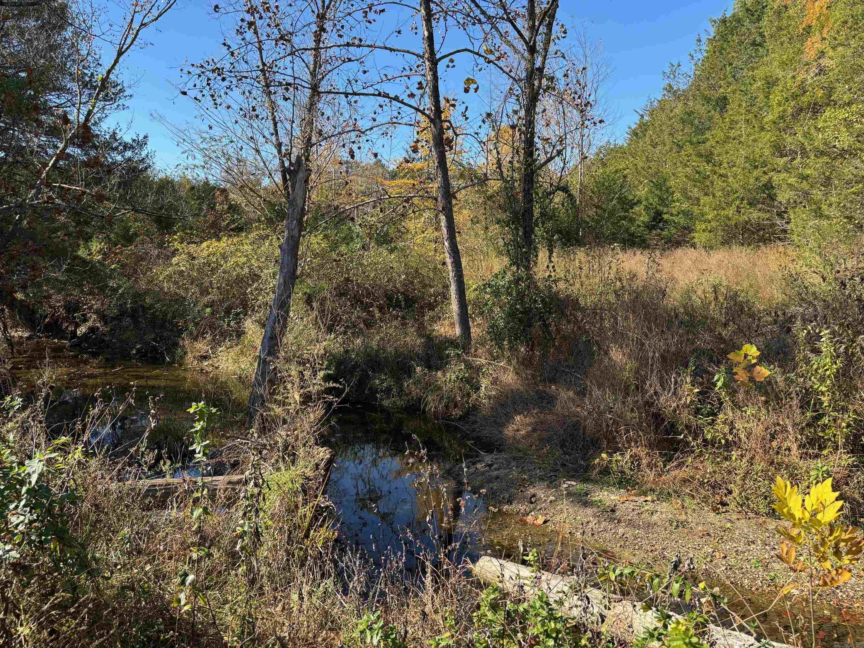  W Highway 374  Saint Joe, AR