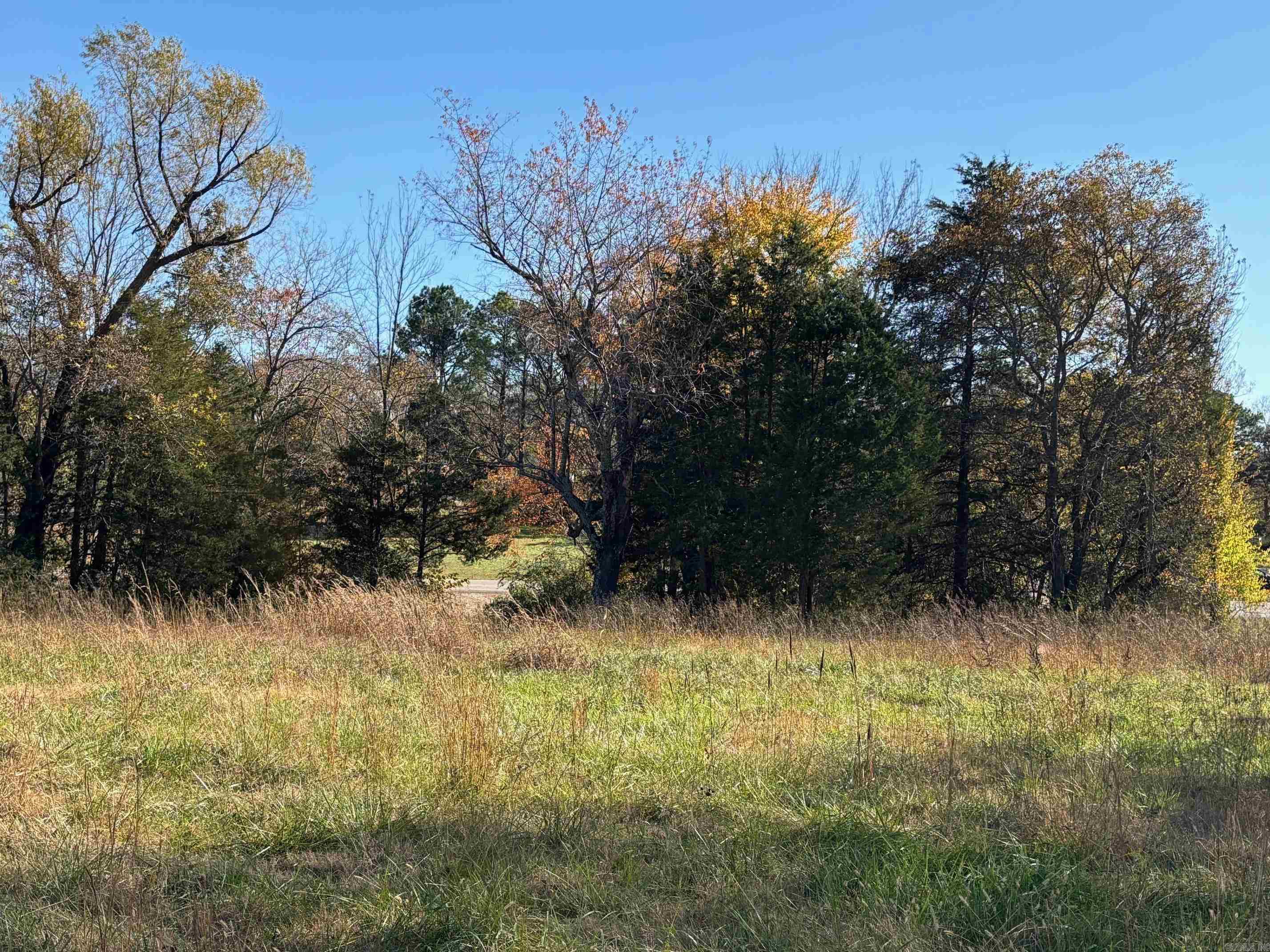  W Highway 374  Saint Joe, AR