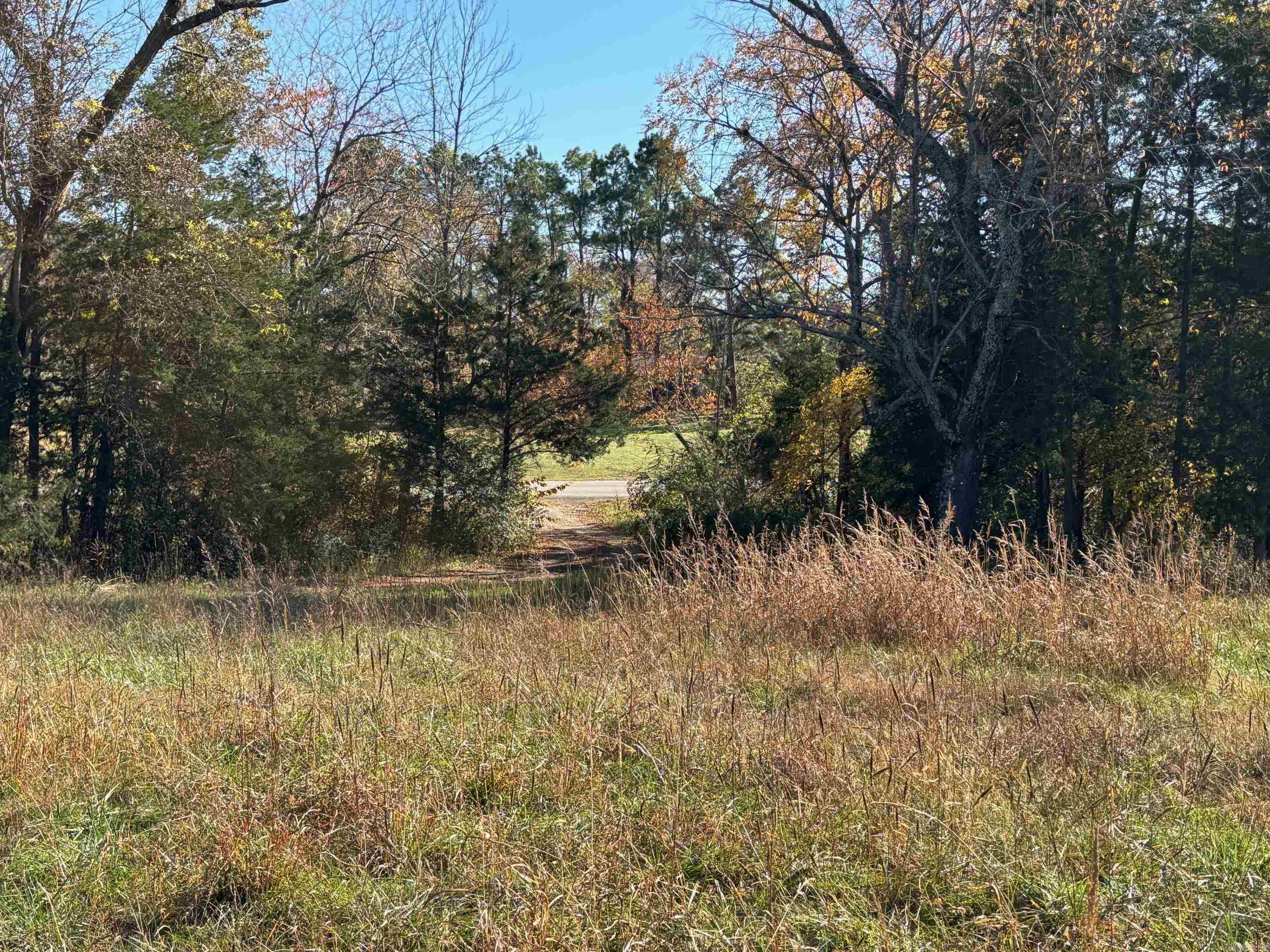  W Highway 374  Saint Joe, AR