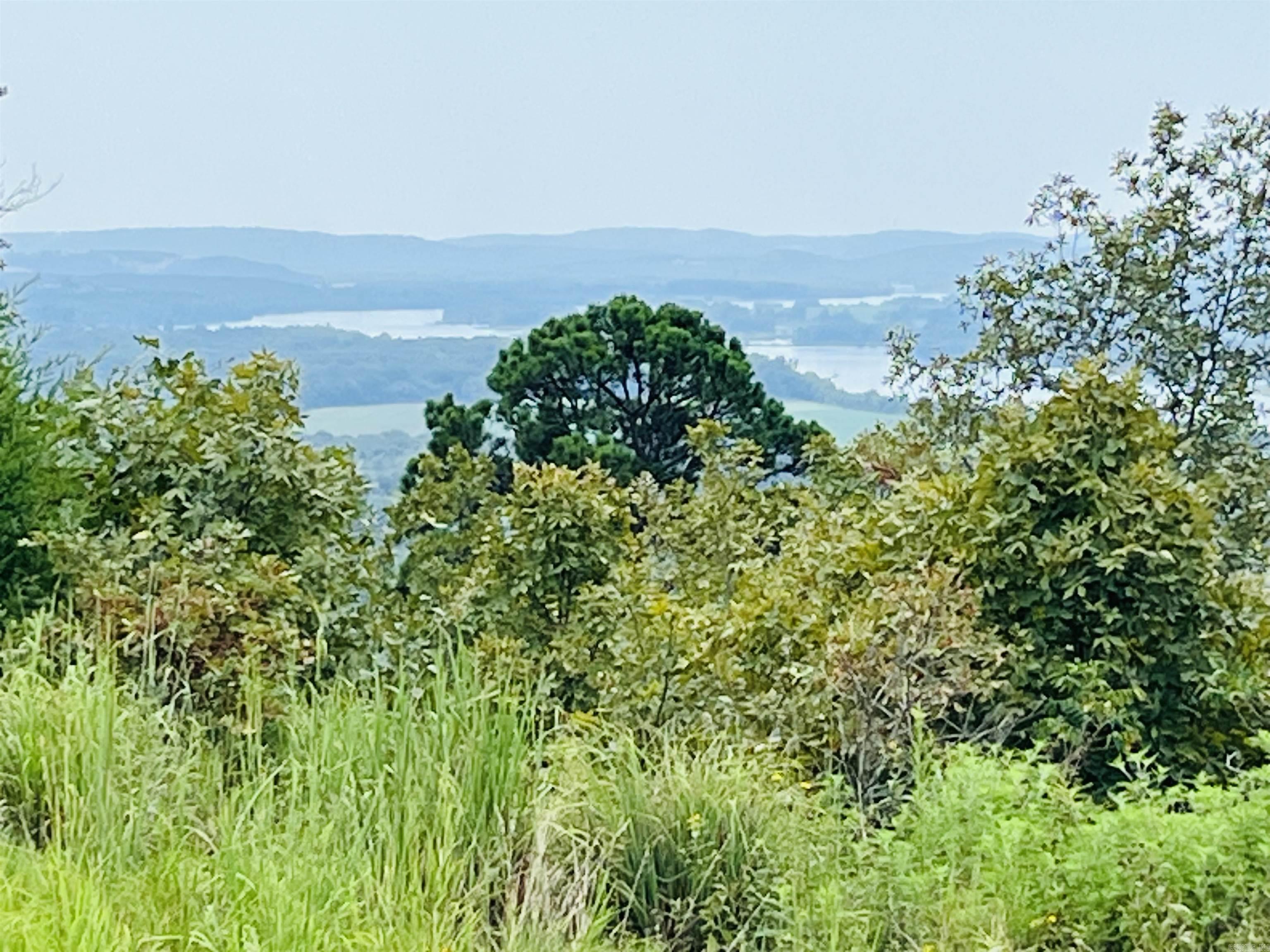 87 High Point Drive  Mayflower, AR