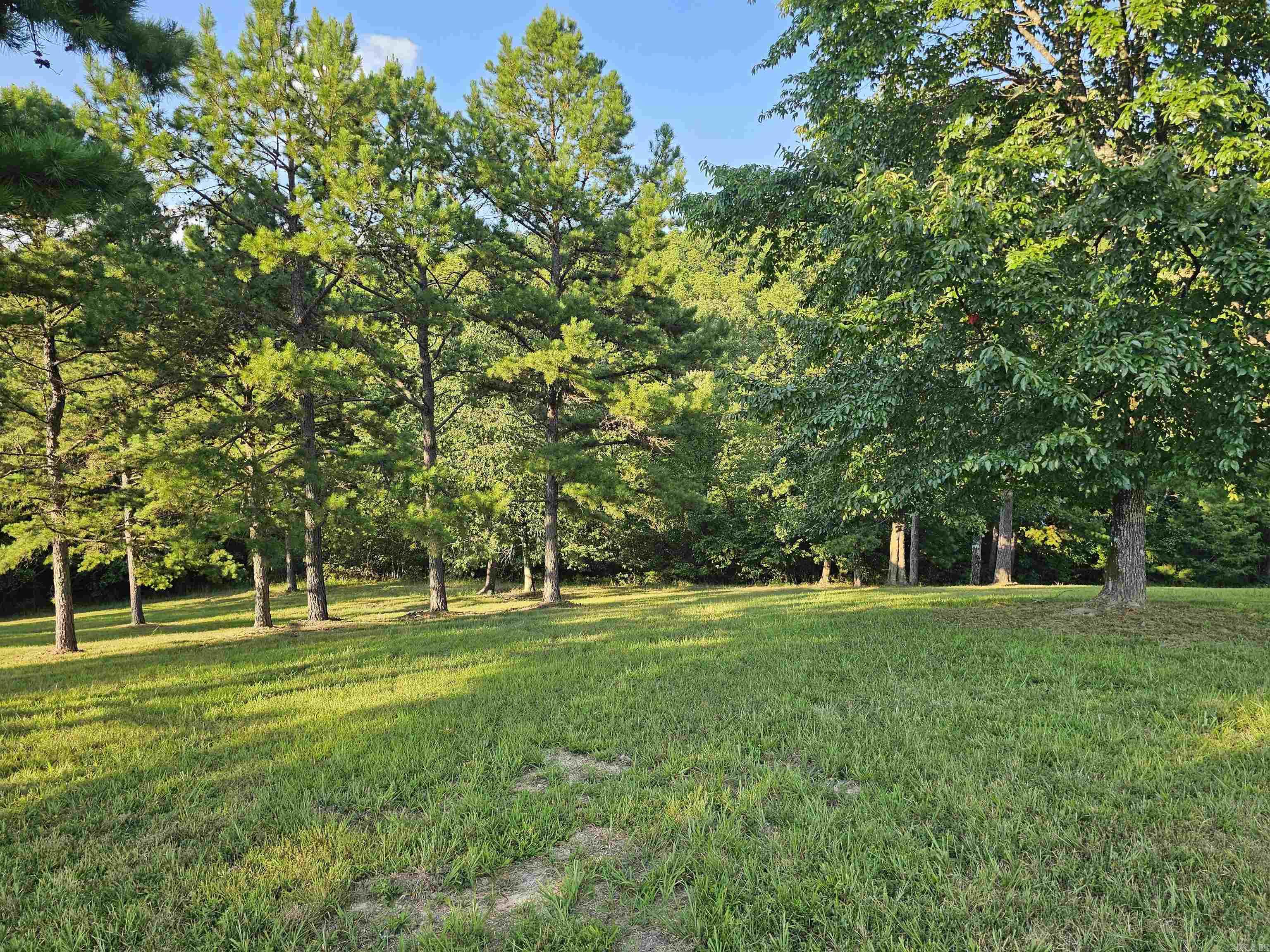 Unk Jennie  Mena, AR