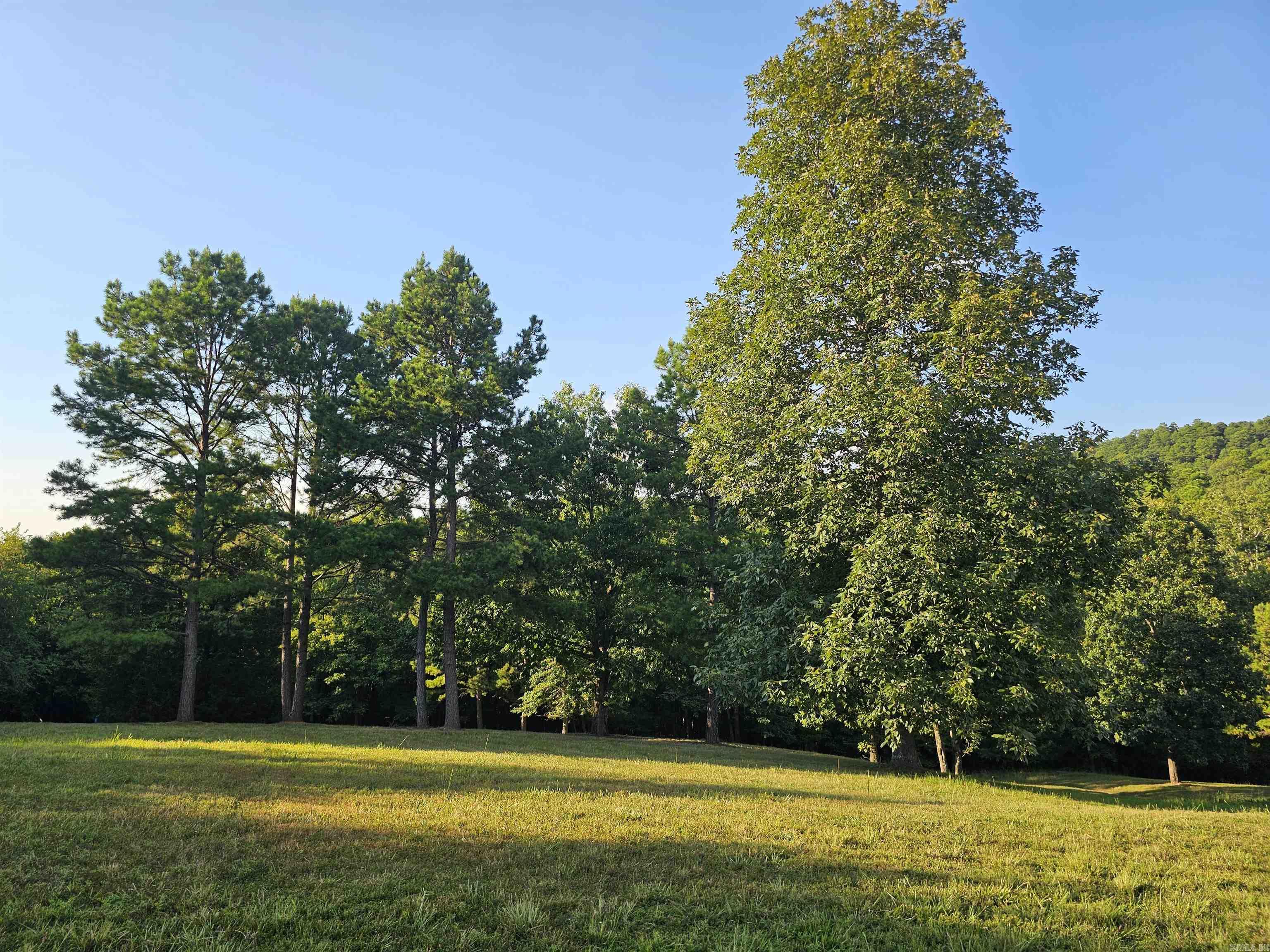 Unk Jennie  Mena, AR