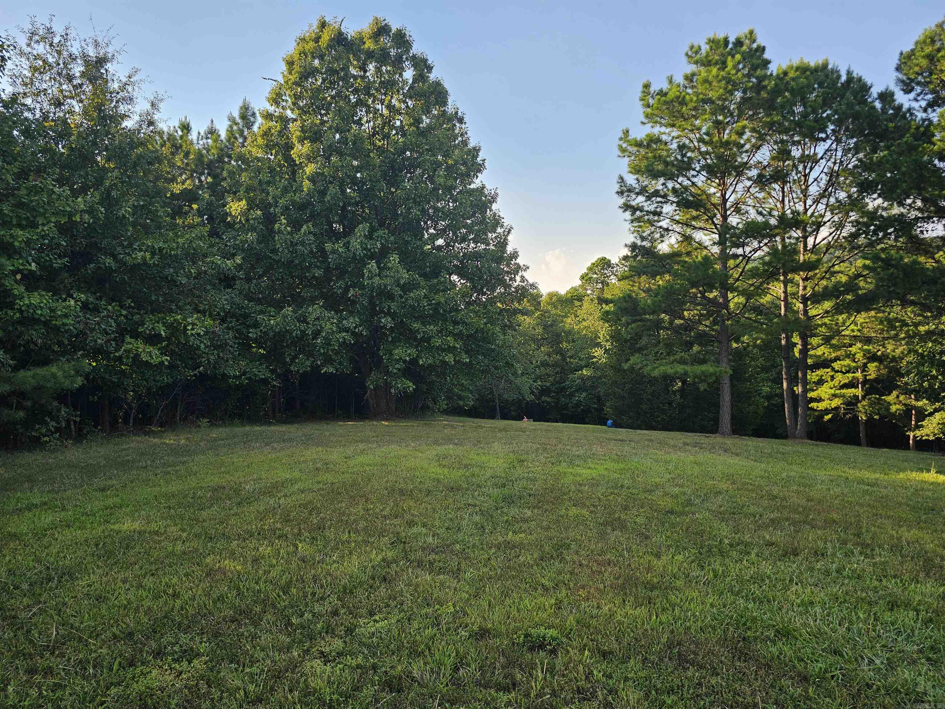 Unk Jennie  Mena, AR