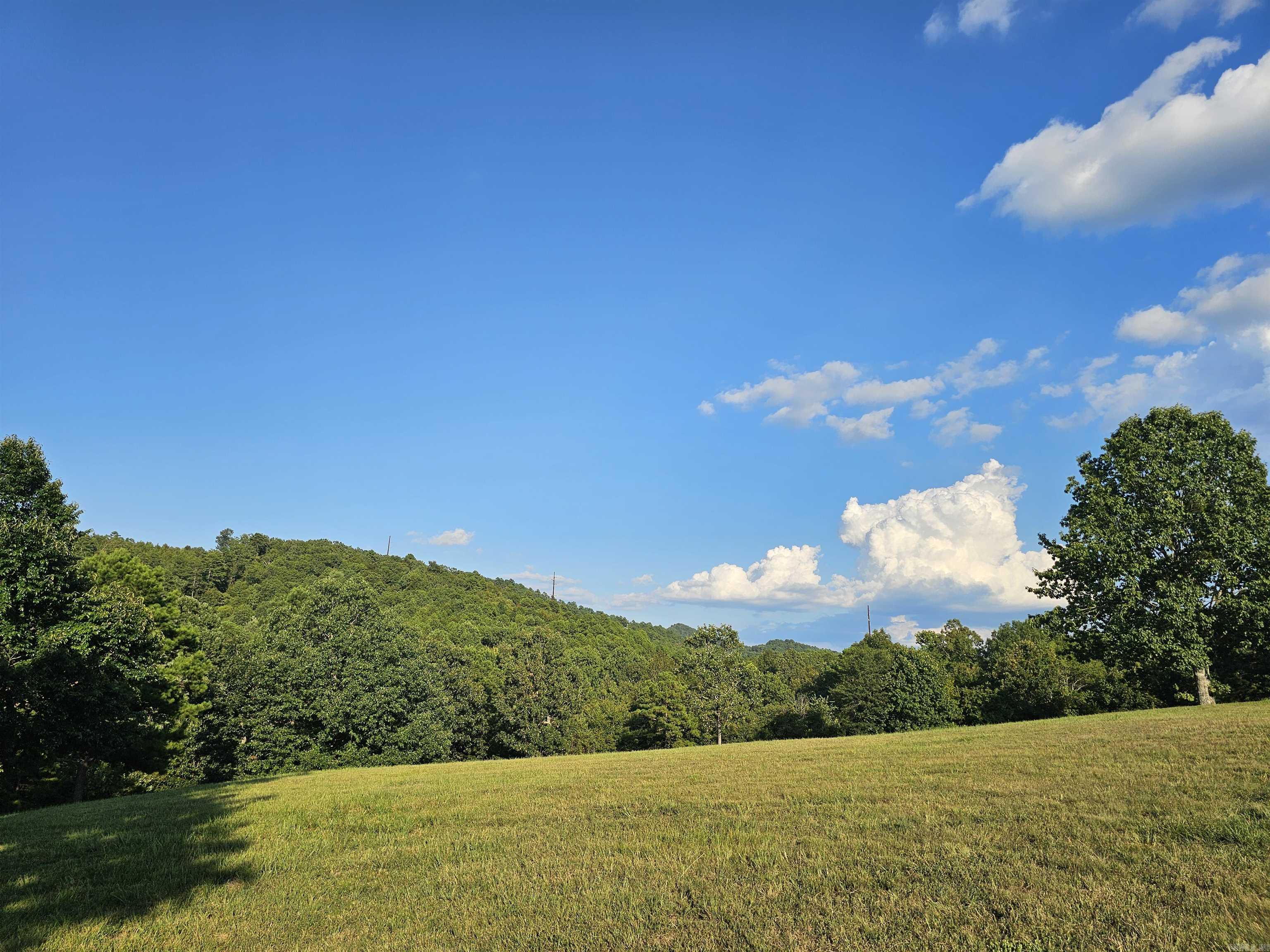 Unk Jennie  Mena, AR
