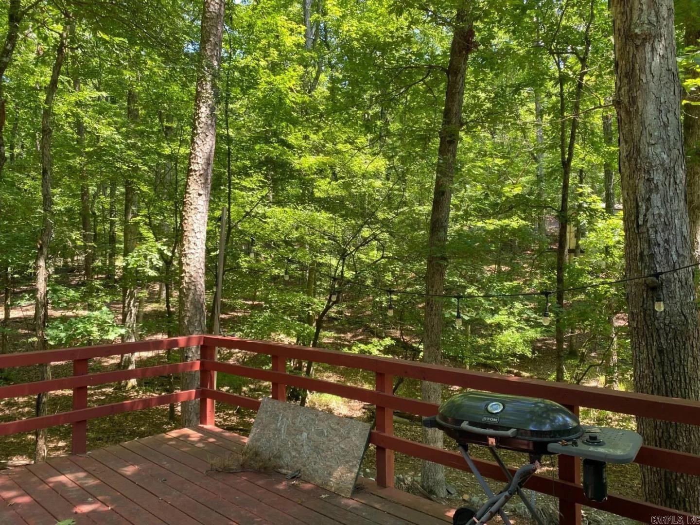 69 Circle T  Mount Ida, AR