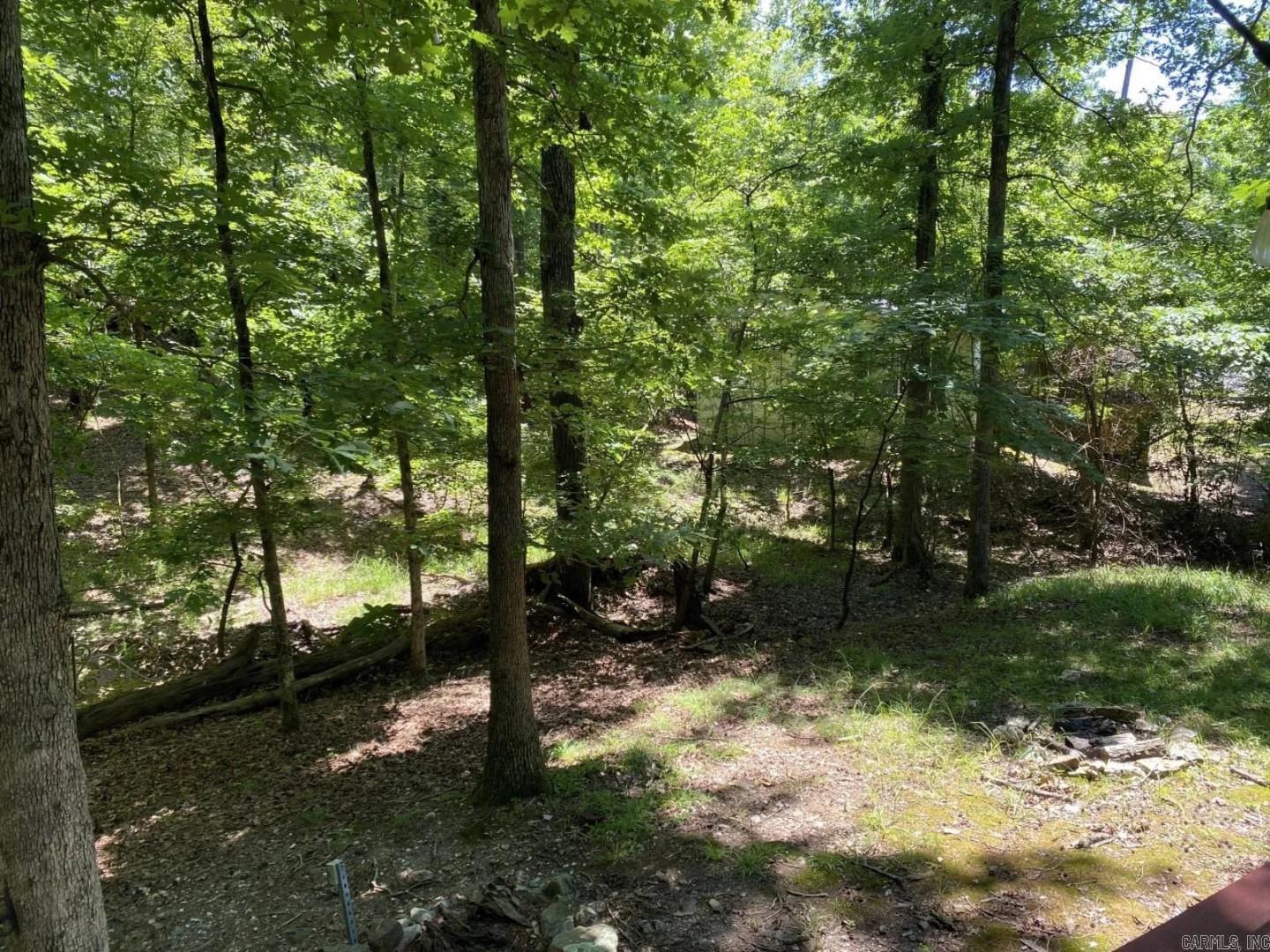 69 Circle T  Mount Ida, AR