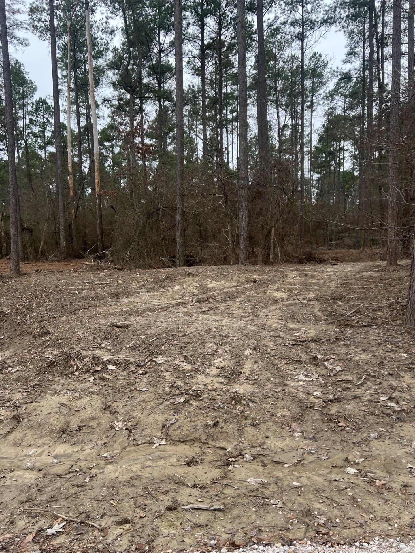 1028 Red Wings  Bismarck, AR