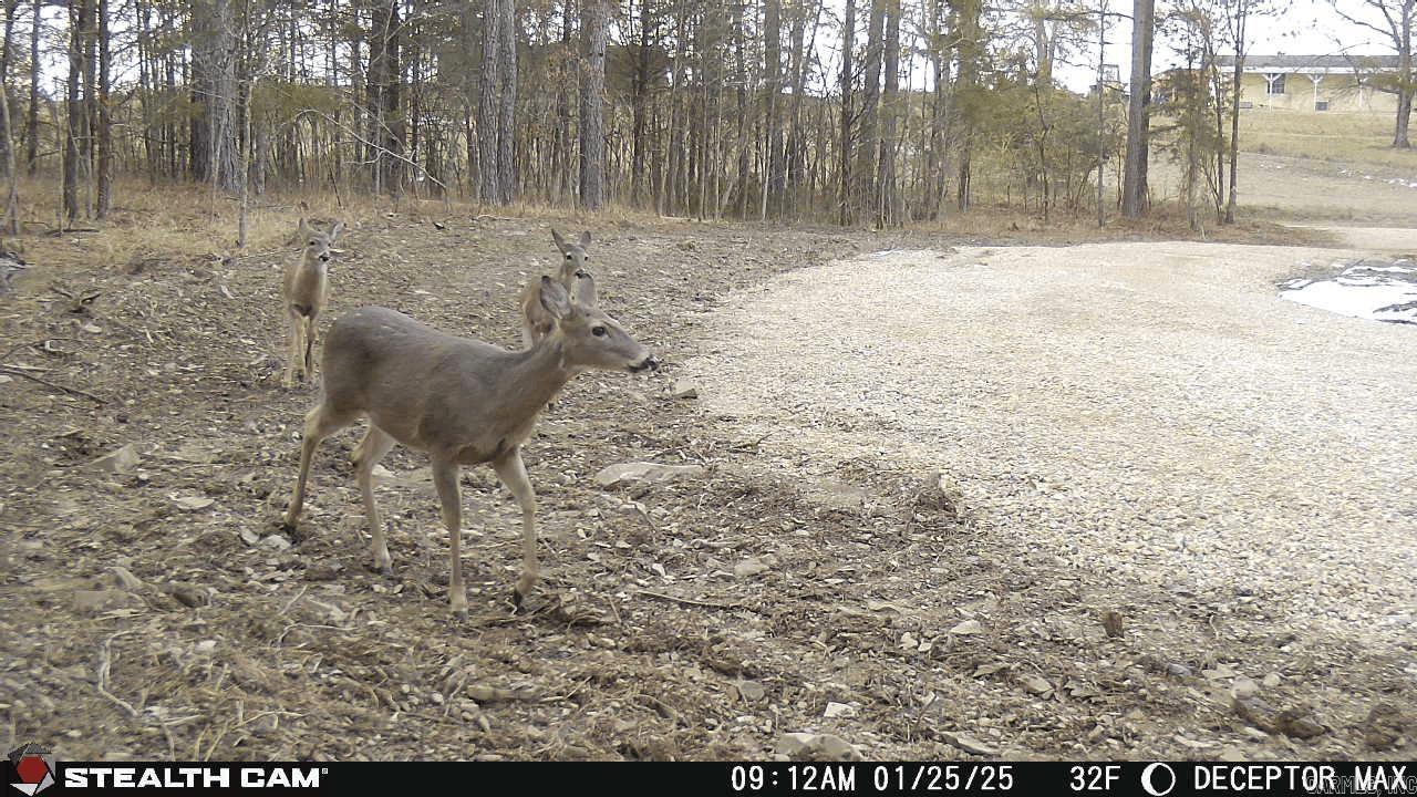 1028 Red Wings  Bismarck, AR