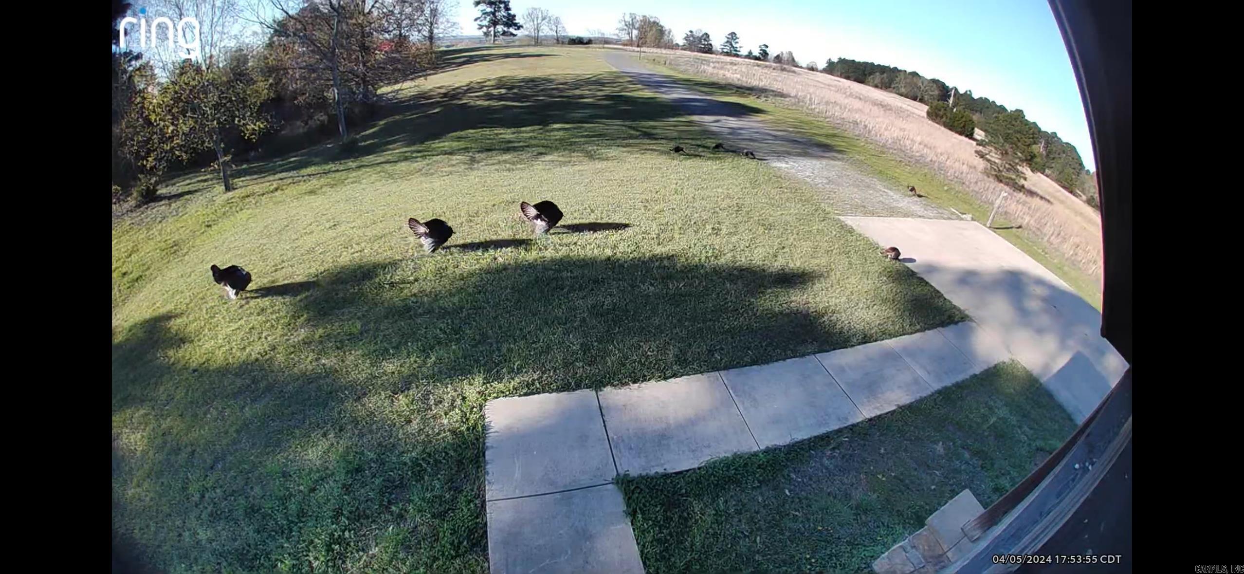 140 Vineyard  Searcy, AR