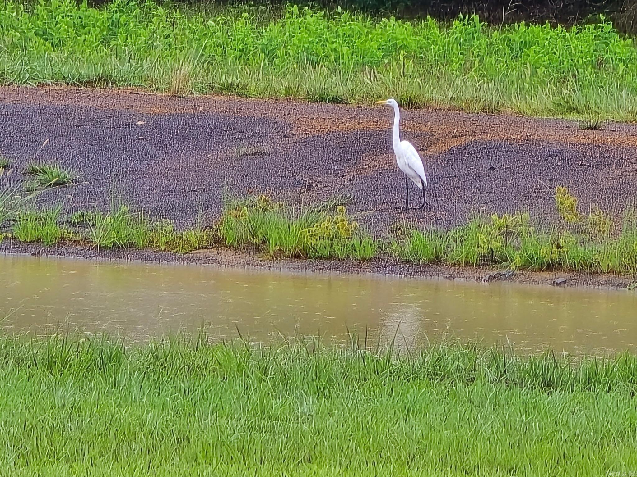 2055 E Church Street Altus, AR 72821