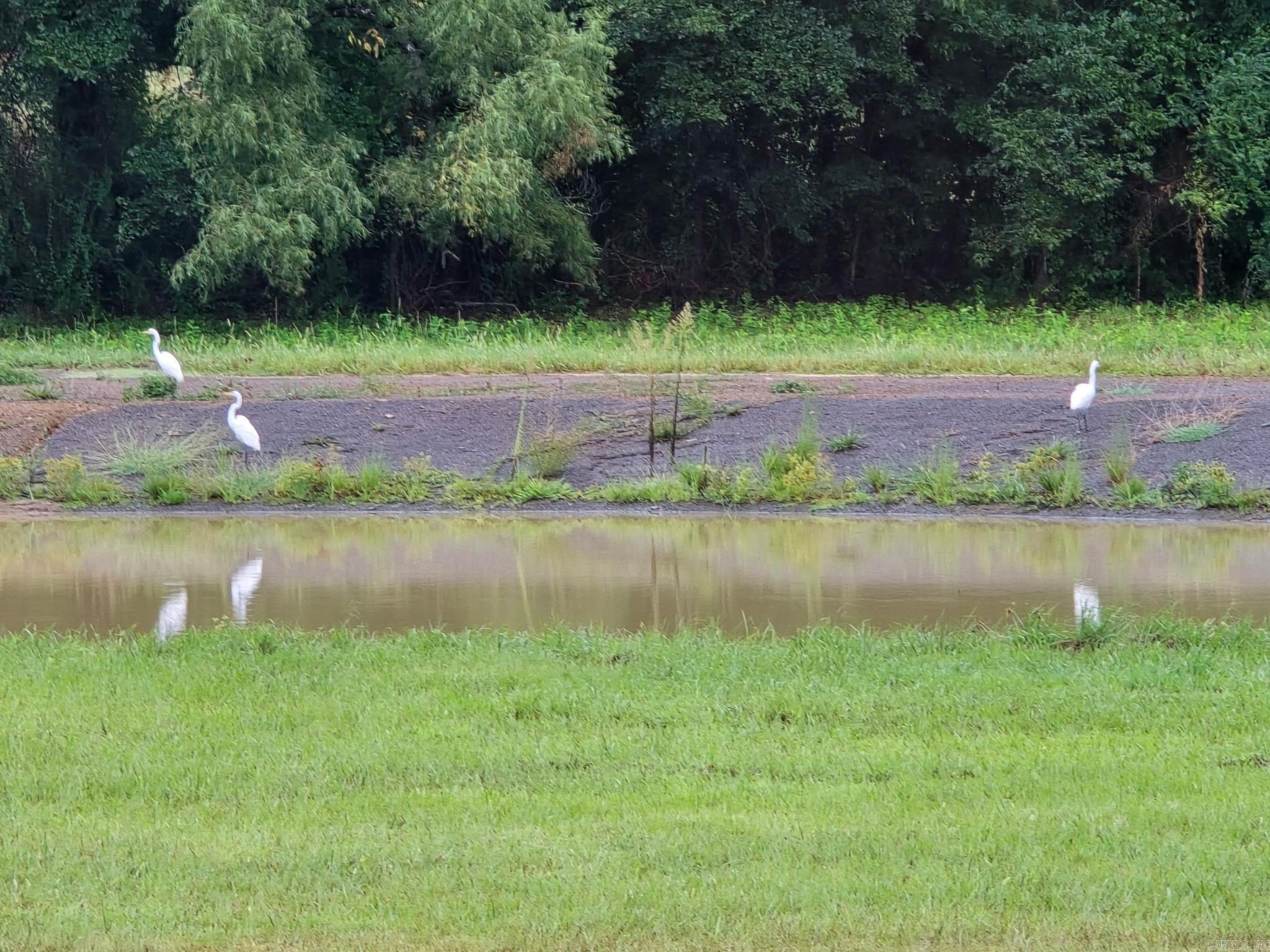 2055 E Church Street Altus, AR 72821