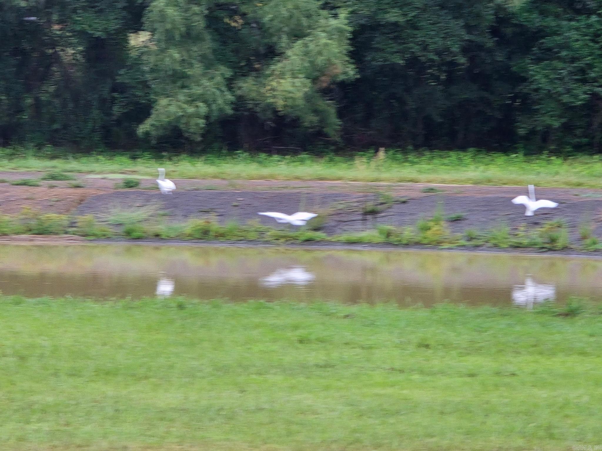 2055 E Church Street Altus, AR 72821