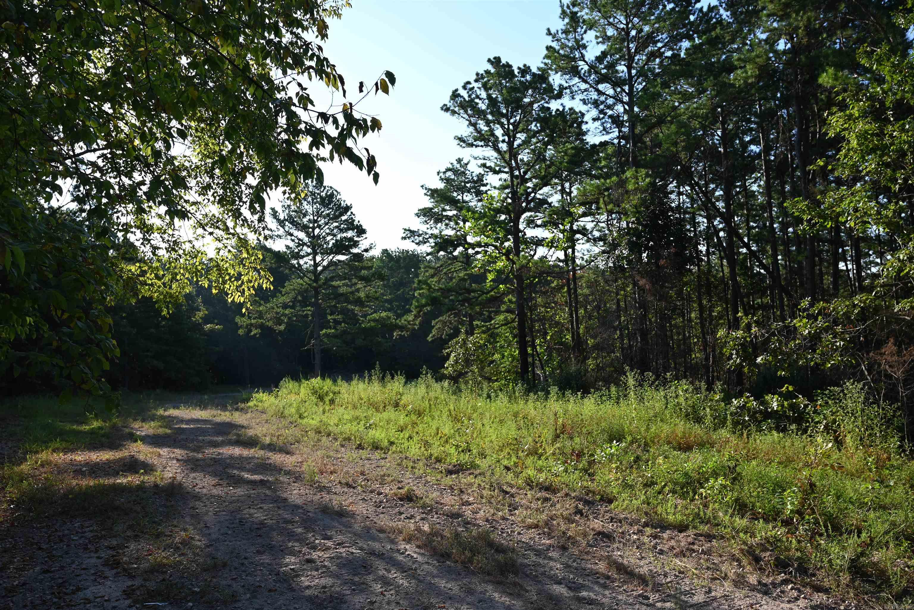 3875 Tomahawk Slab  Saint Joe, AR