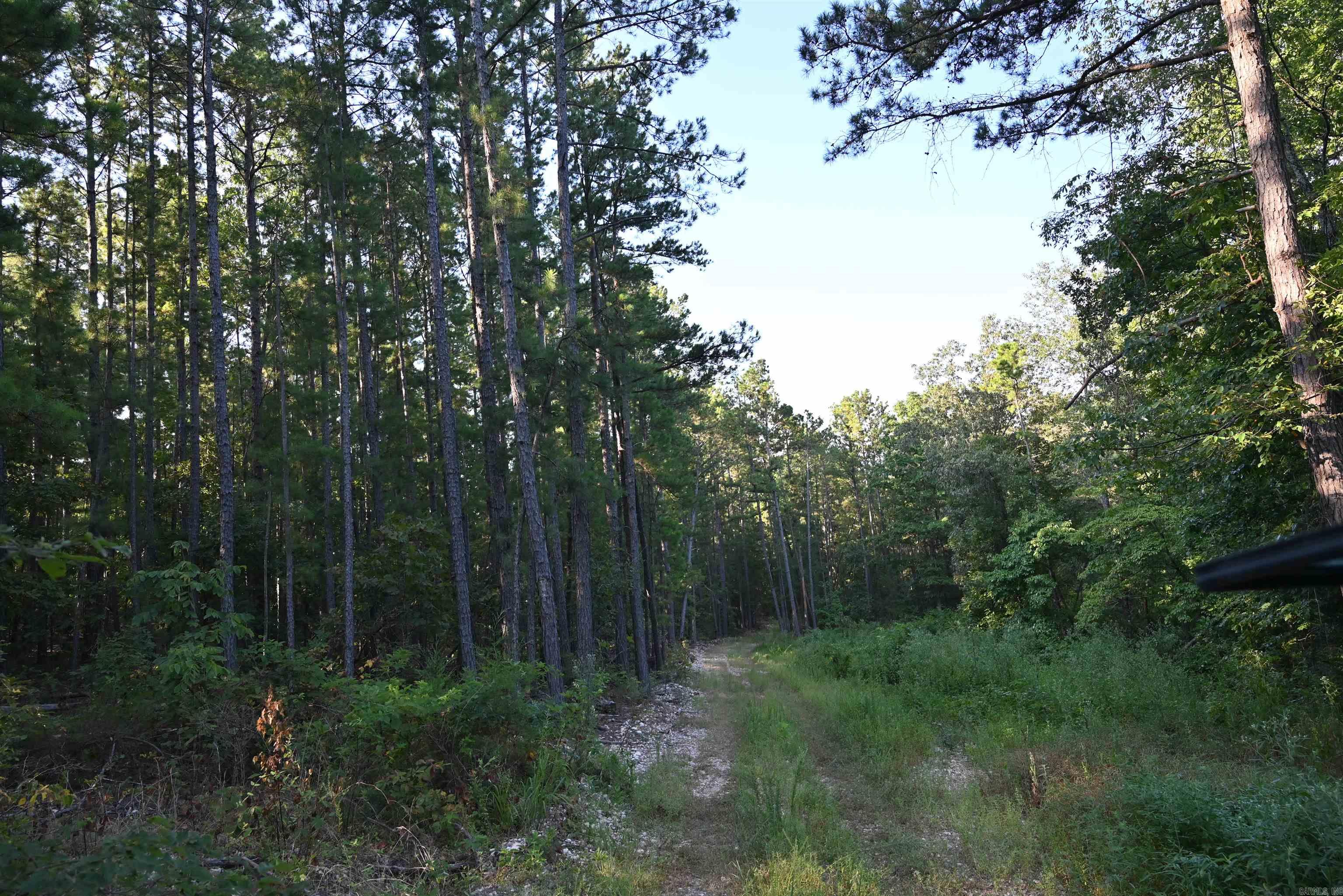 3875 Tomahawk Slab  Saint Joe, AR