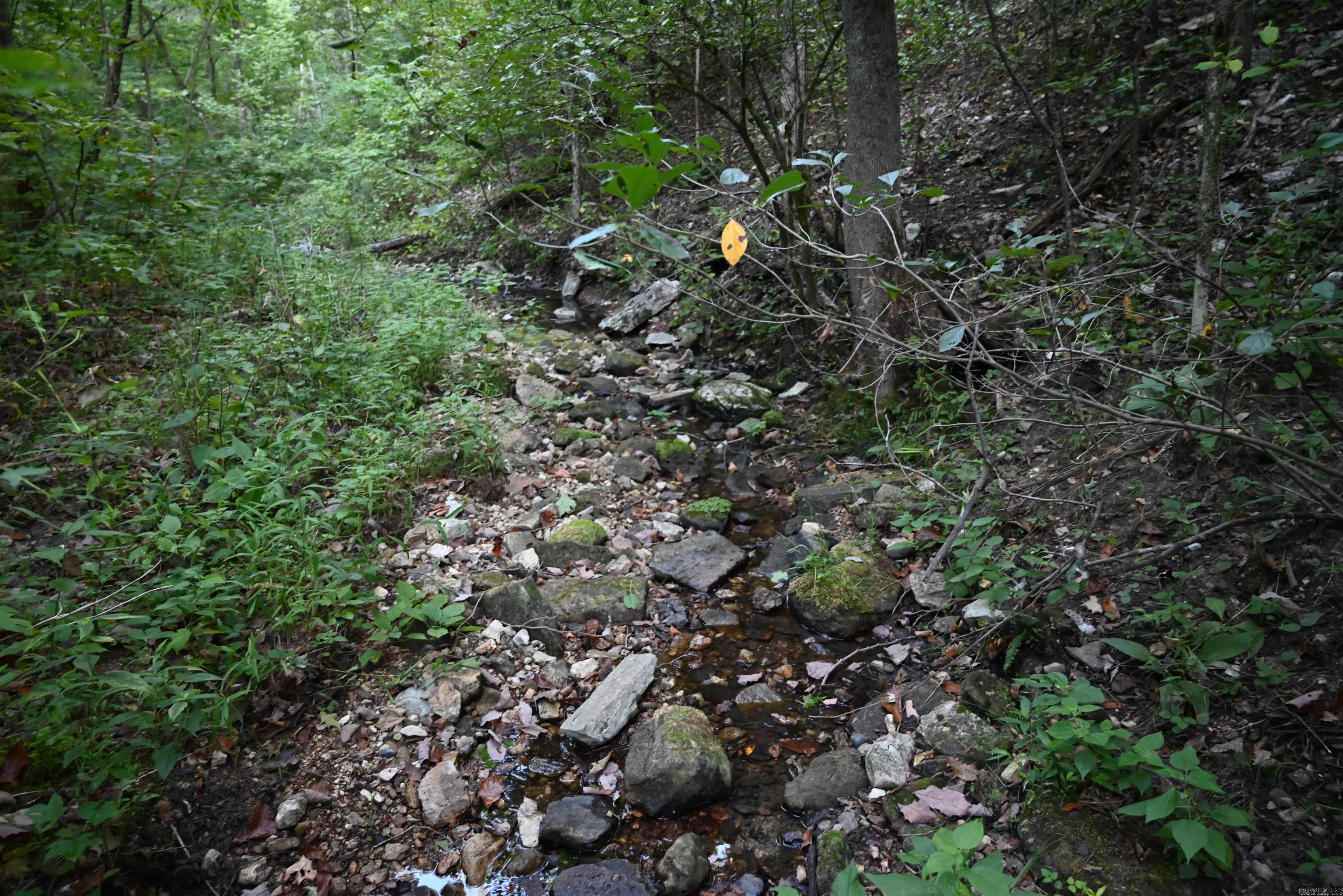 3875 Tomahawk Slab  Saint Joe, AR