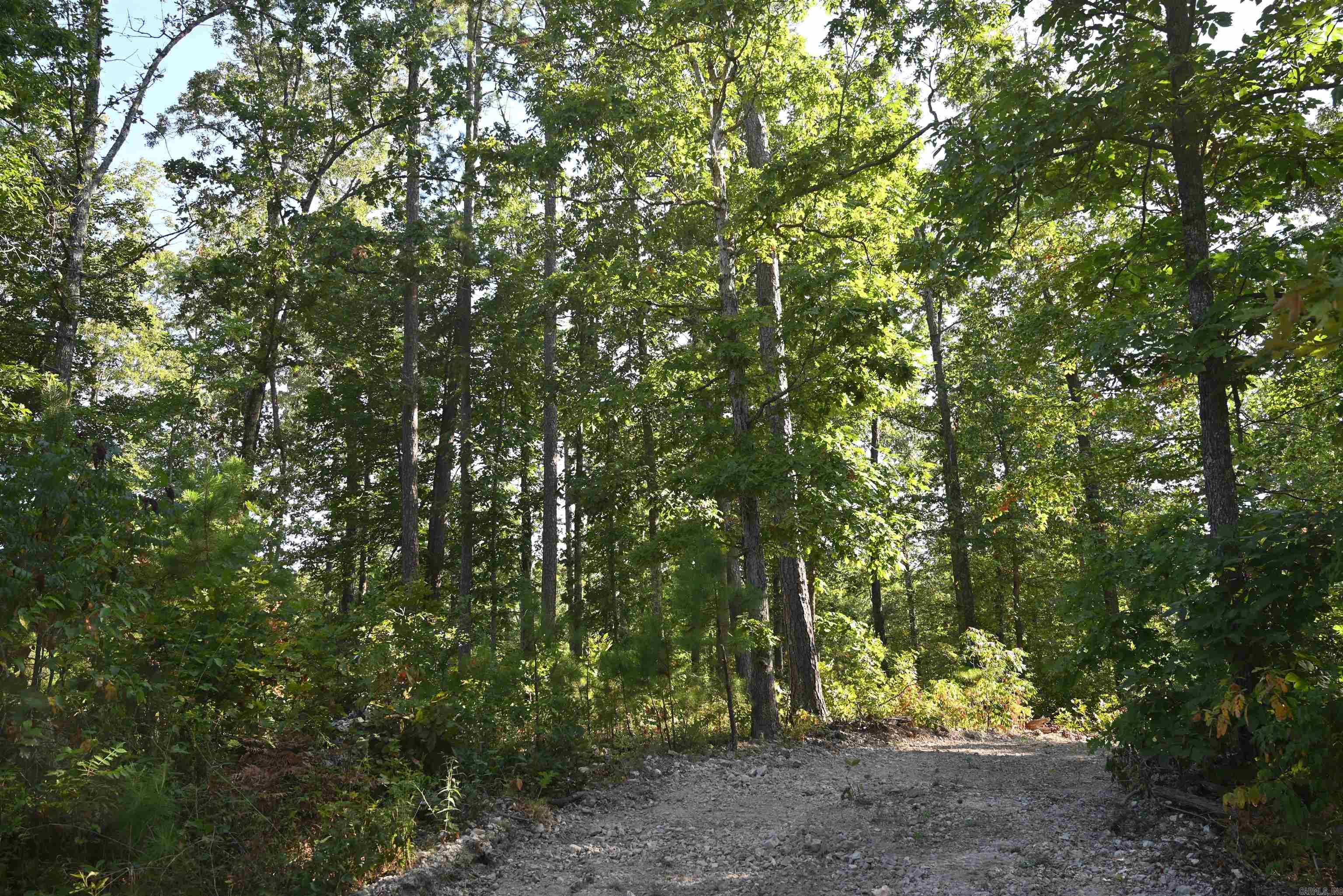 3875 Tomahawk Slab  Saint Joe, AR