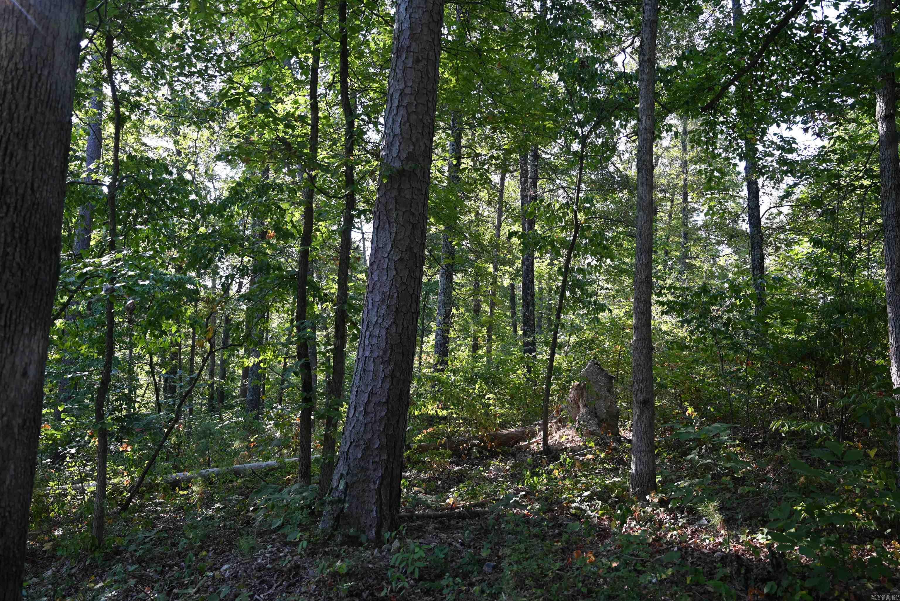 3875 Tomahawk Slab  Saint Joe, AR